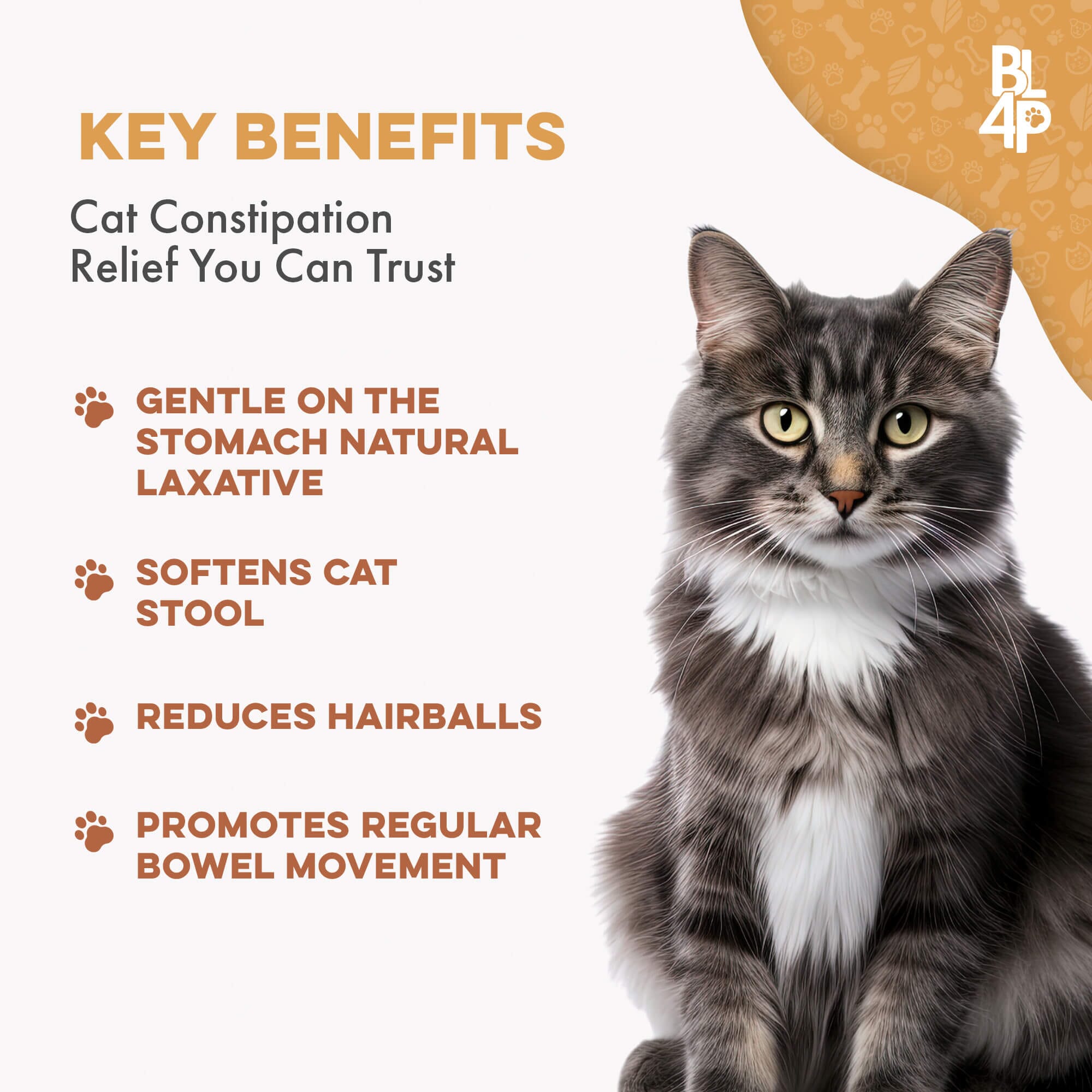 Natural Cat Laxative & Constipation Treatment BestLife4Pets 