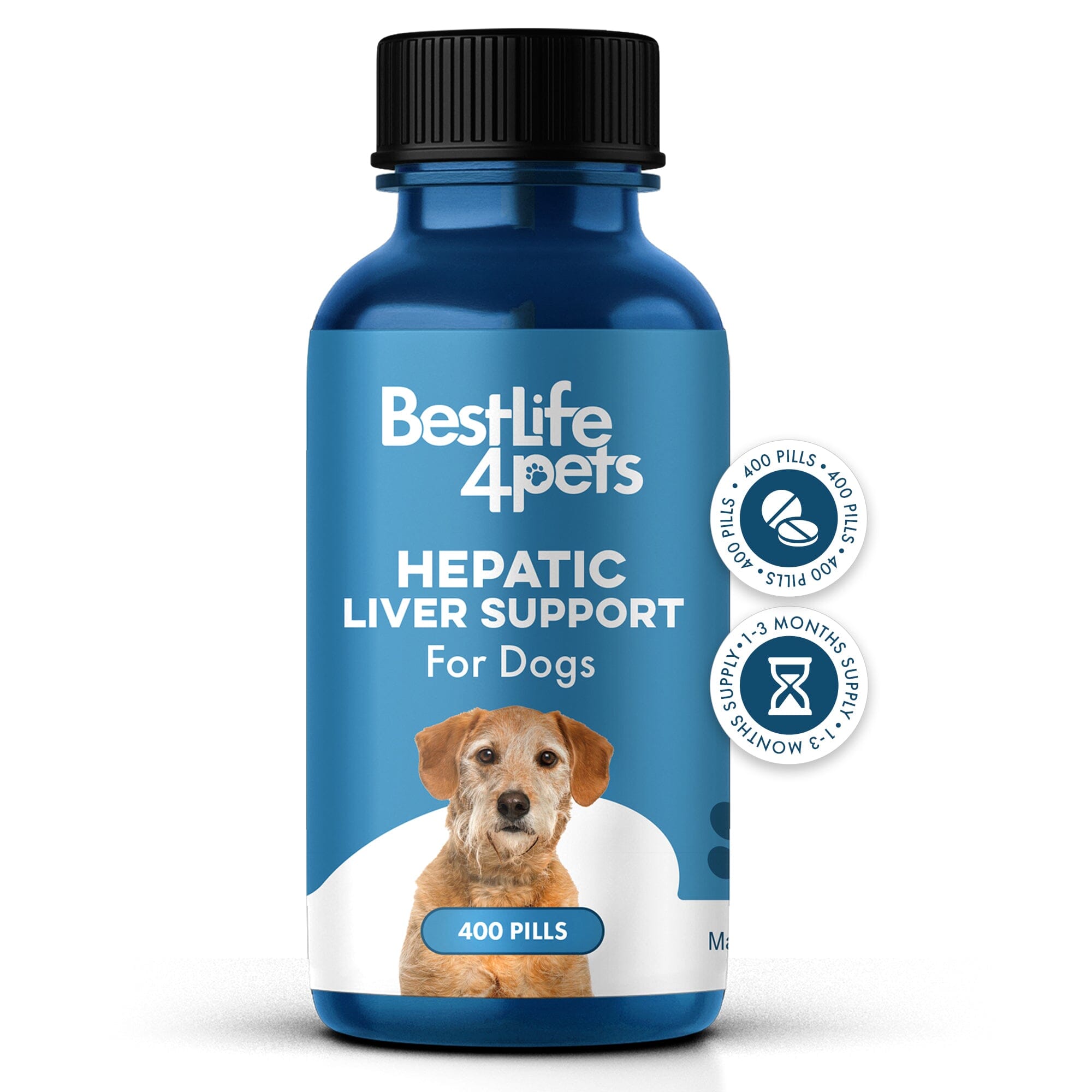 Food for dog liver health hotsell