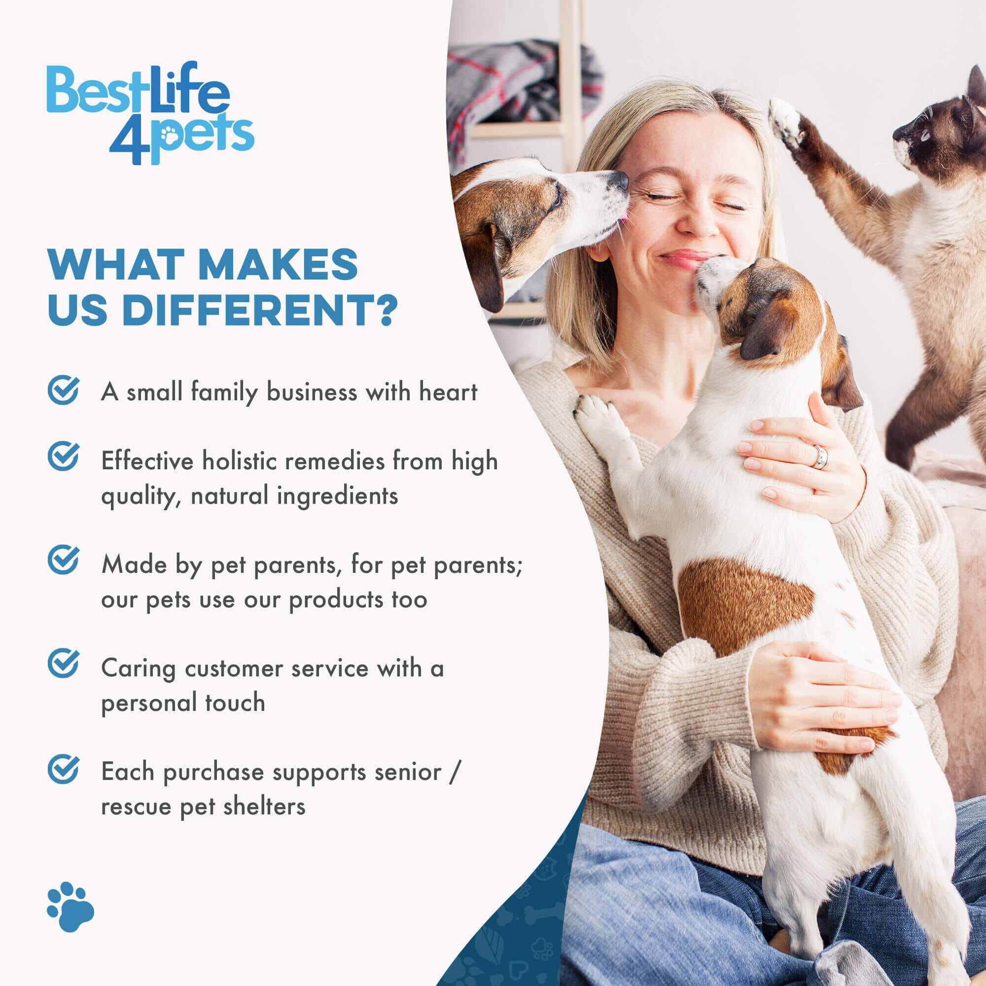 Natural Hepatic Dog Liver Support Tablets BestLife4Pets 