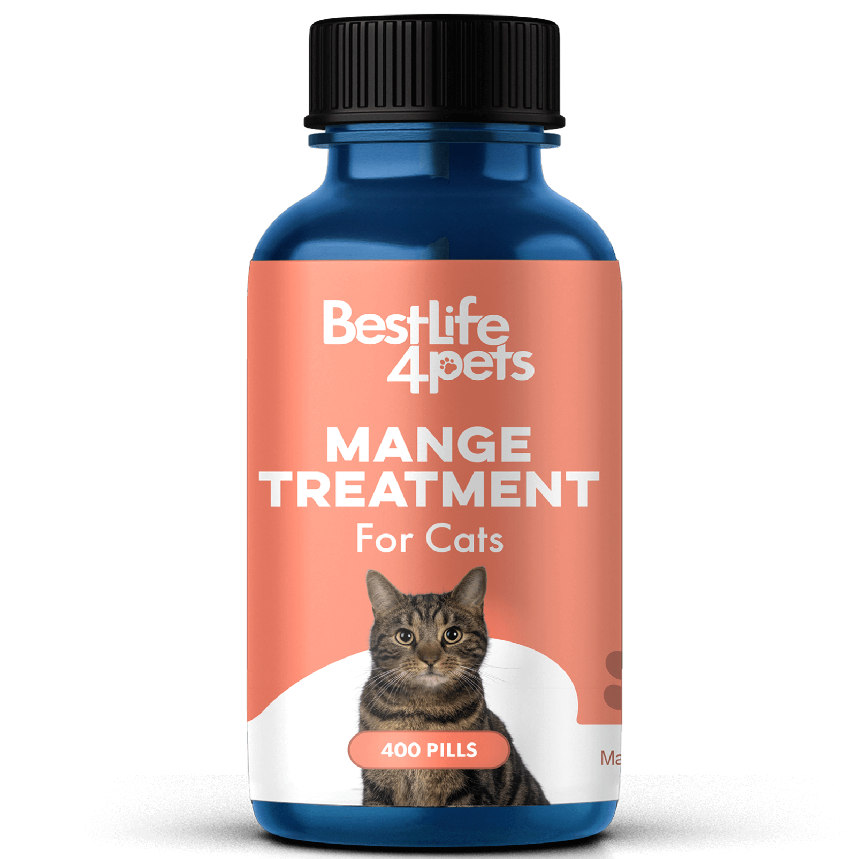 Mange in cats natural treatment hotsell