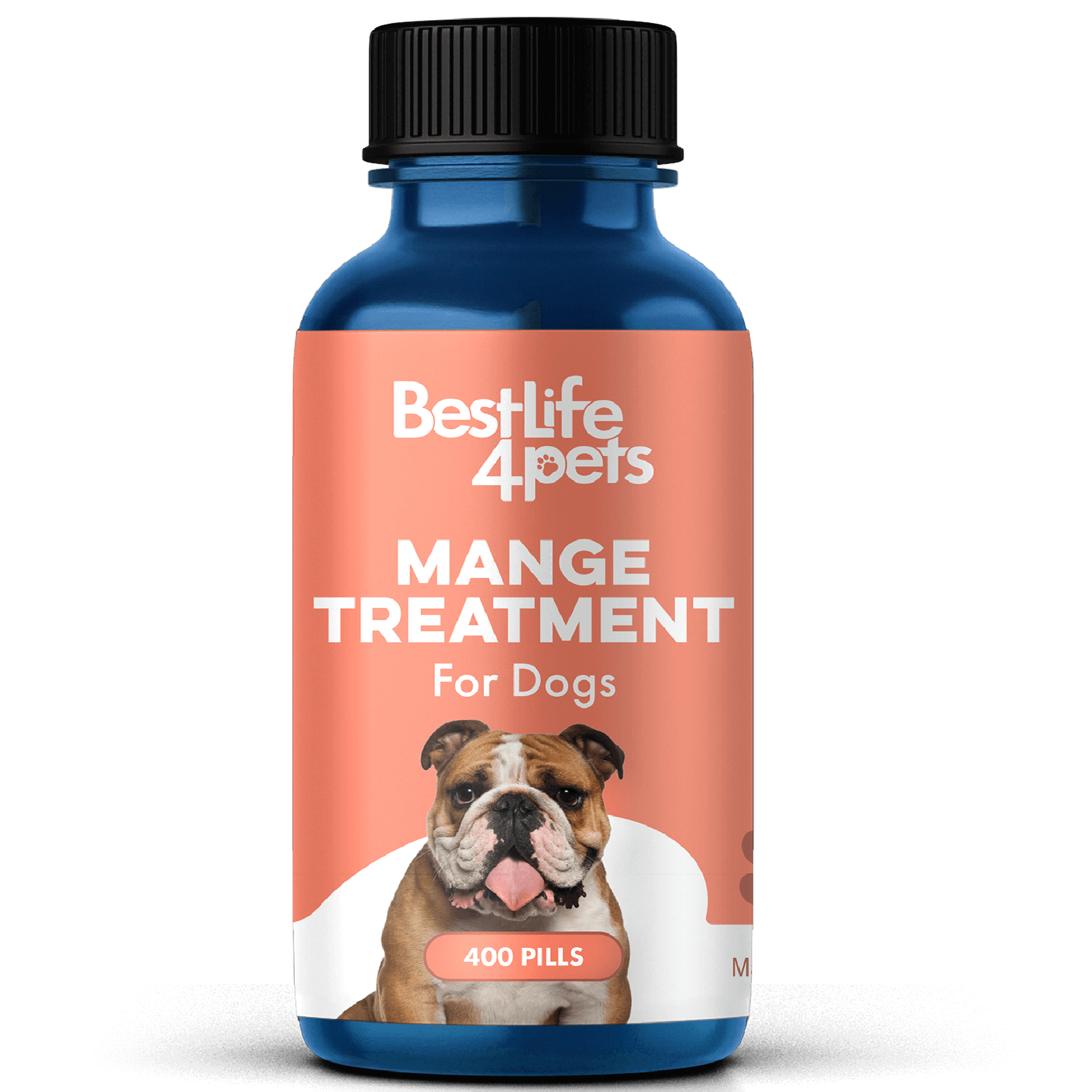 Mange ointment for dogs best sale