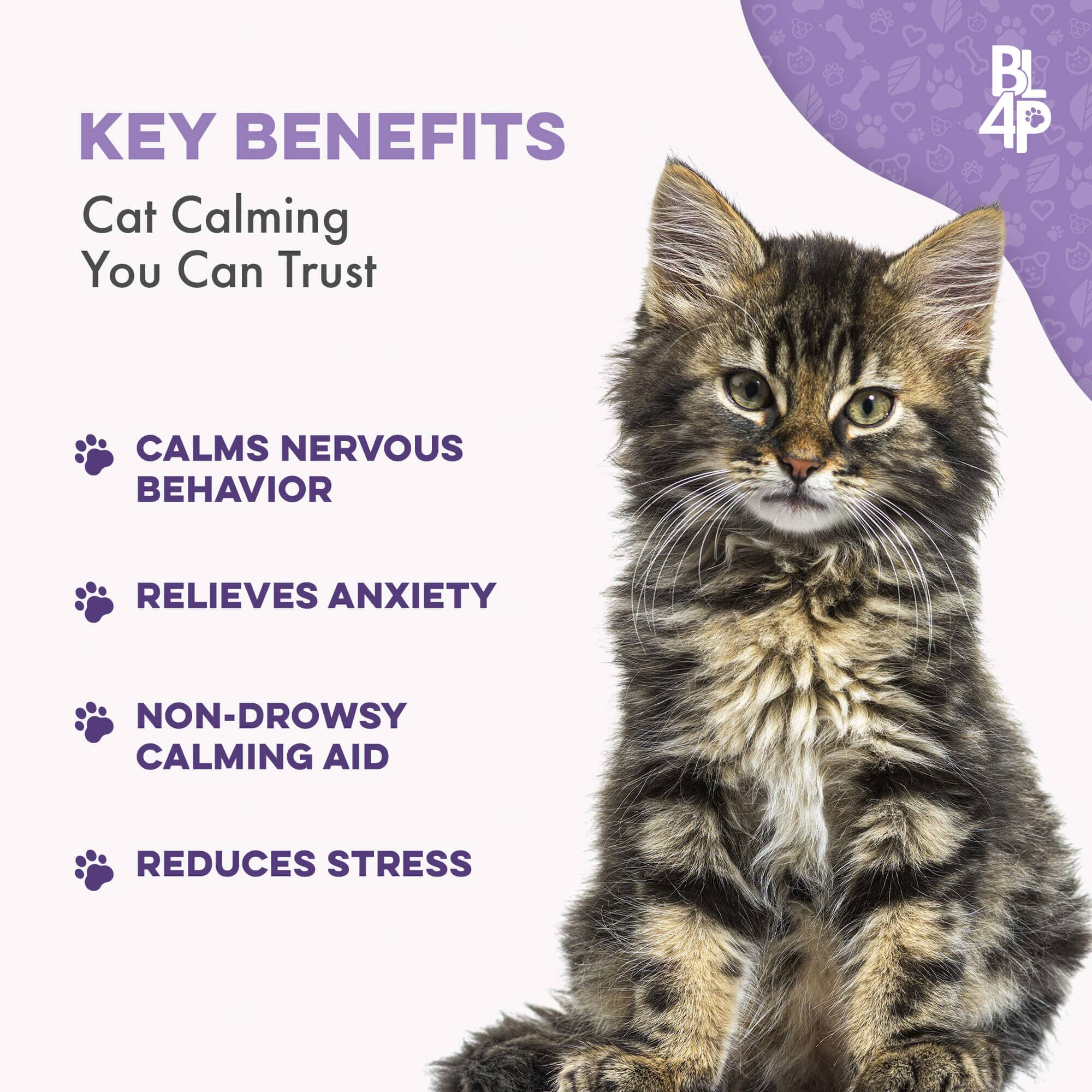 Pet Relax Anxiety and Stress Relief for Cats BestLife4Pets 