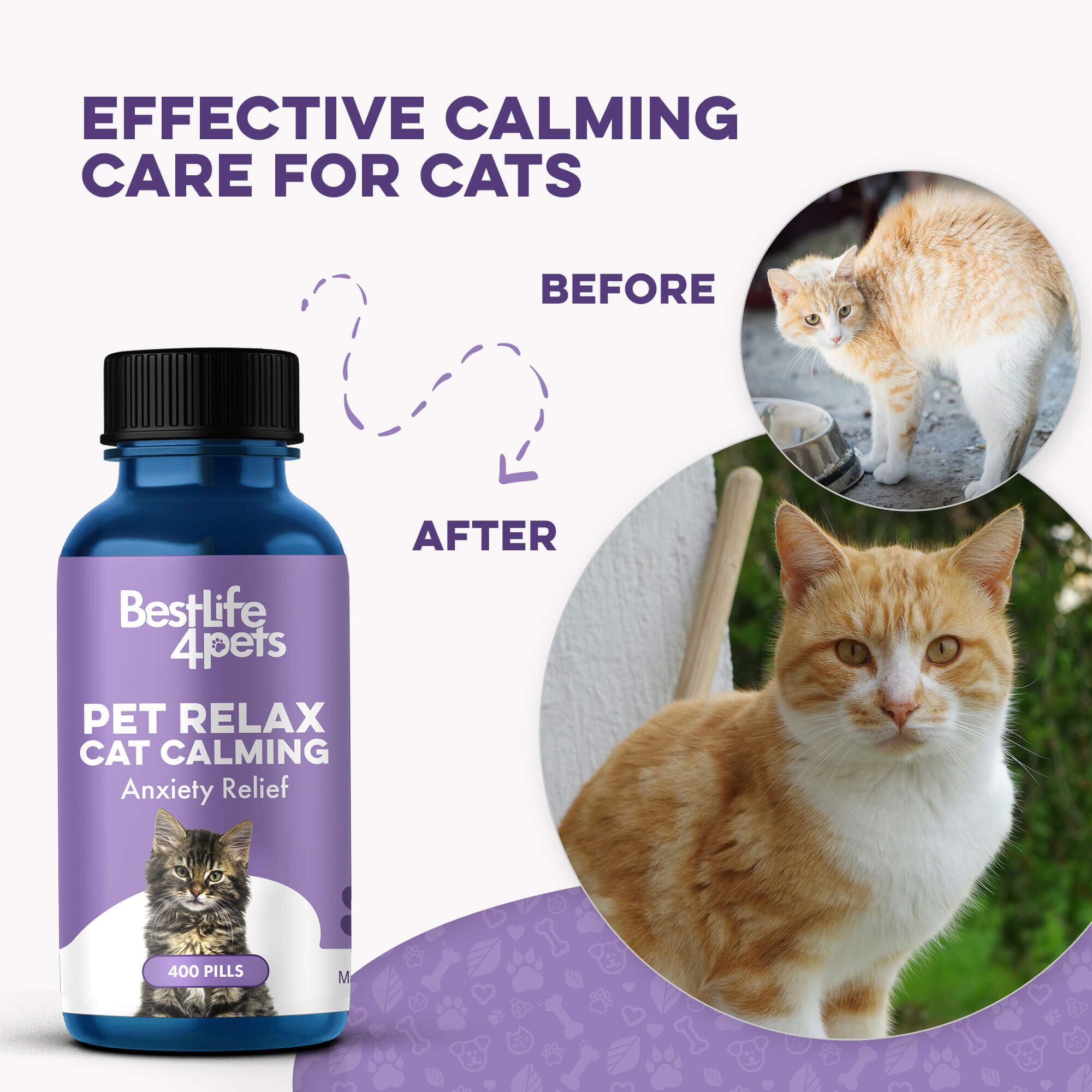 Pet Relax Anxiety and Stress Relief for Cats BestLife4Pets 