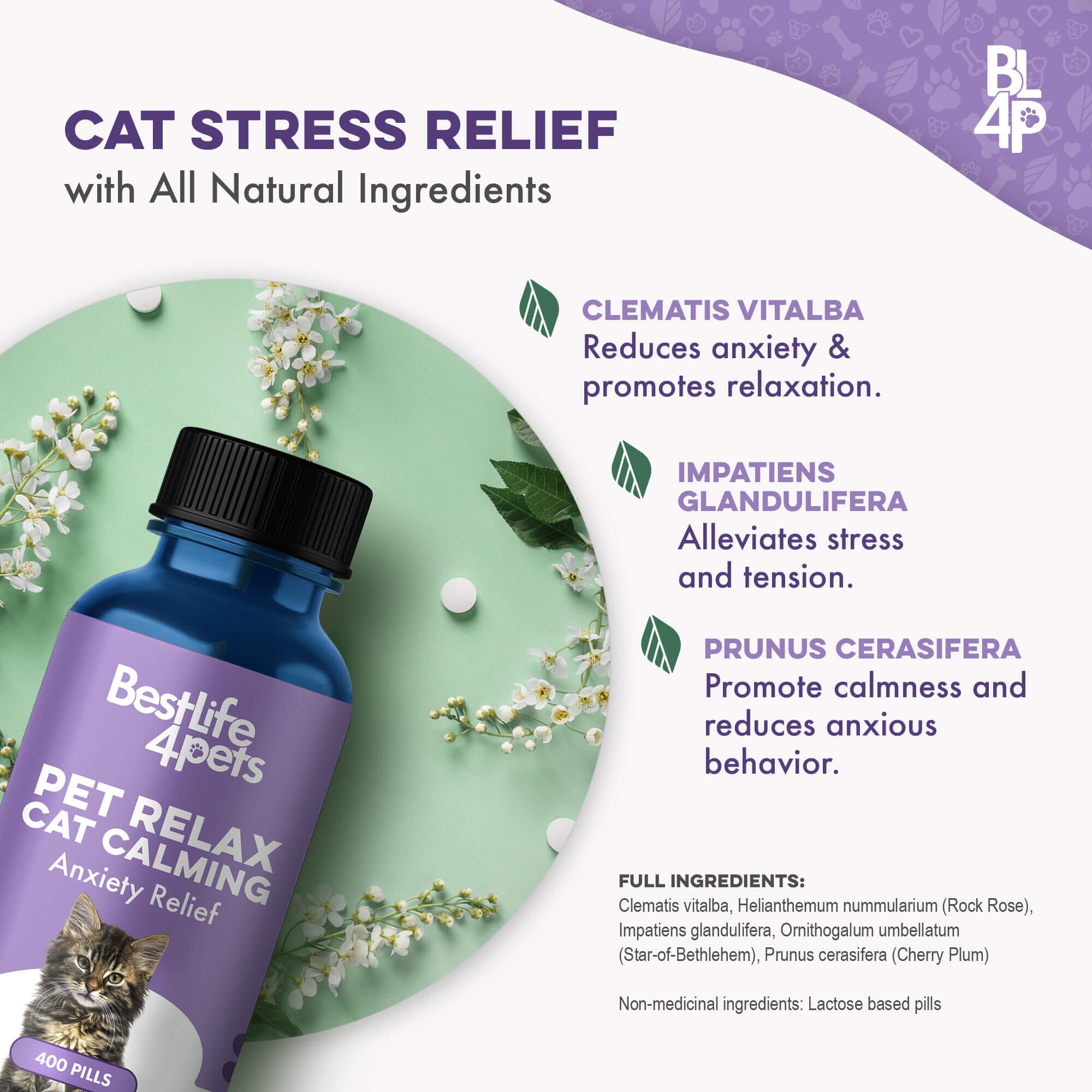 Pet Relax Anxiety and Stress Relief for Cats BestLife4Pets 