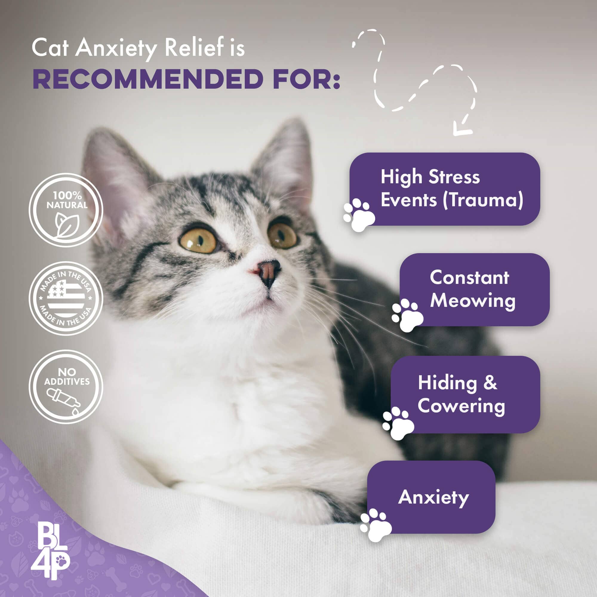 Pet Relax Anxiety and Stress Relief for Cats BestLife4Pets 