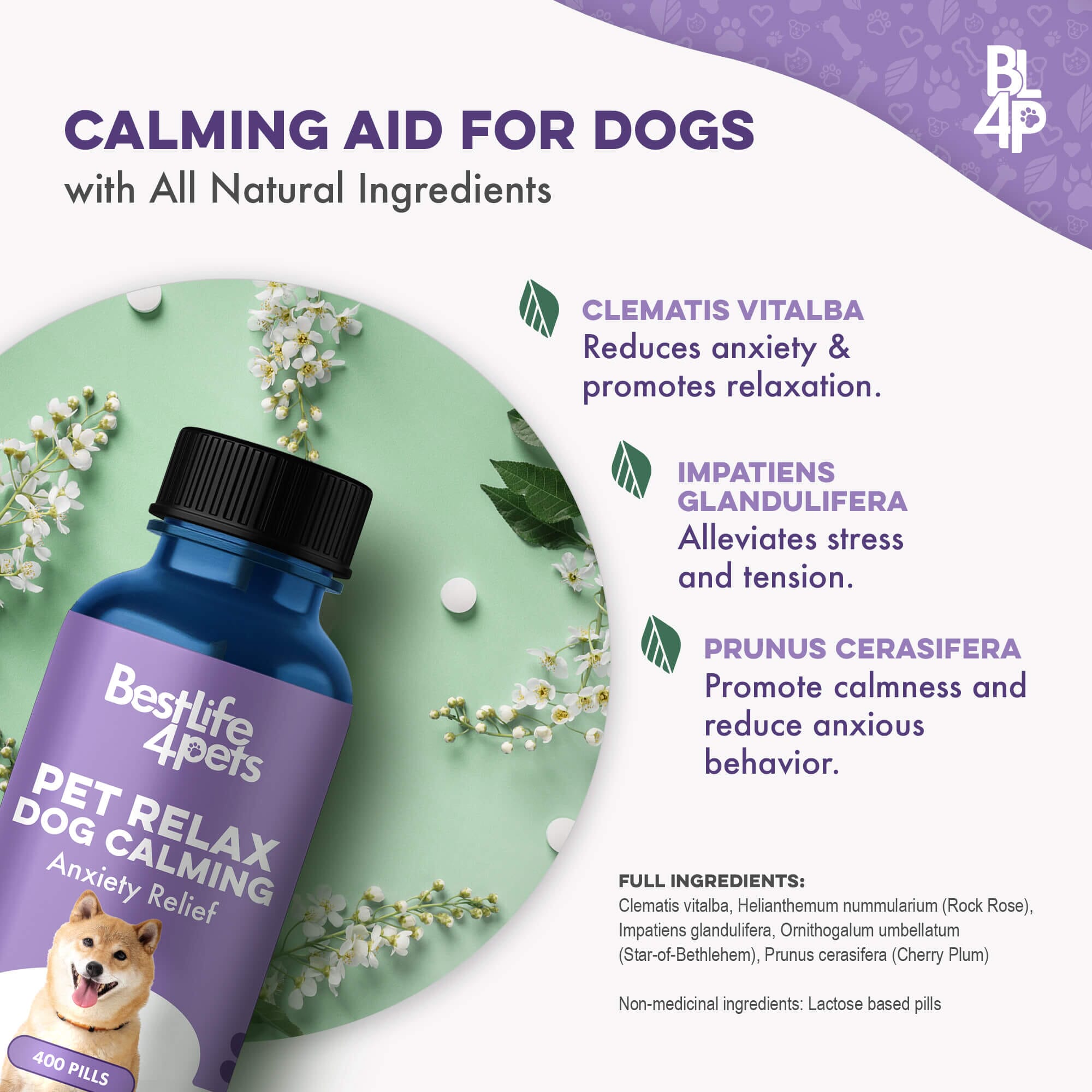 Pet Relax Dog Anxiety and Calming Relief Formula BestLife4Pets 