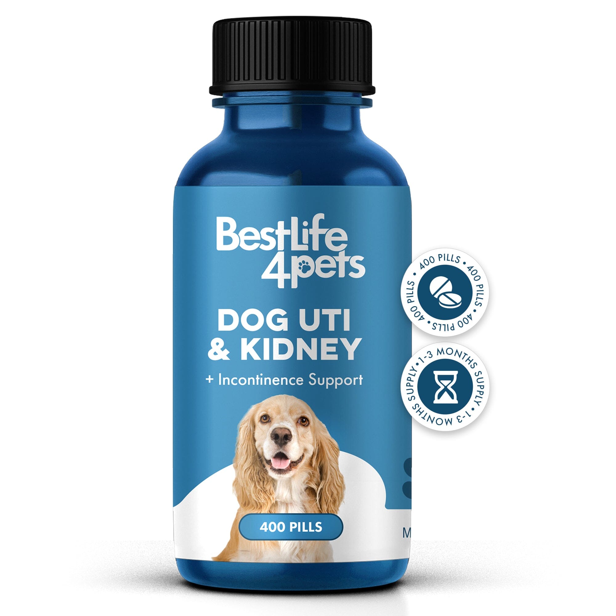 Over the counter uti meds for dogs best sale