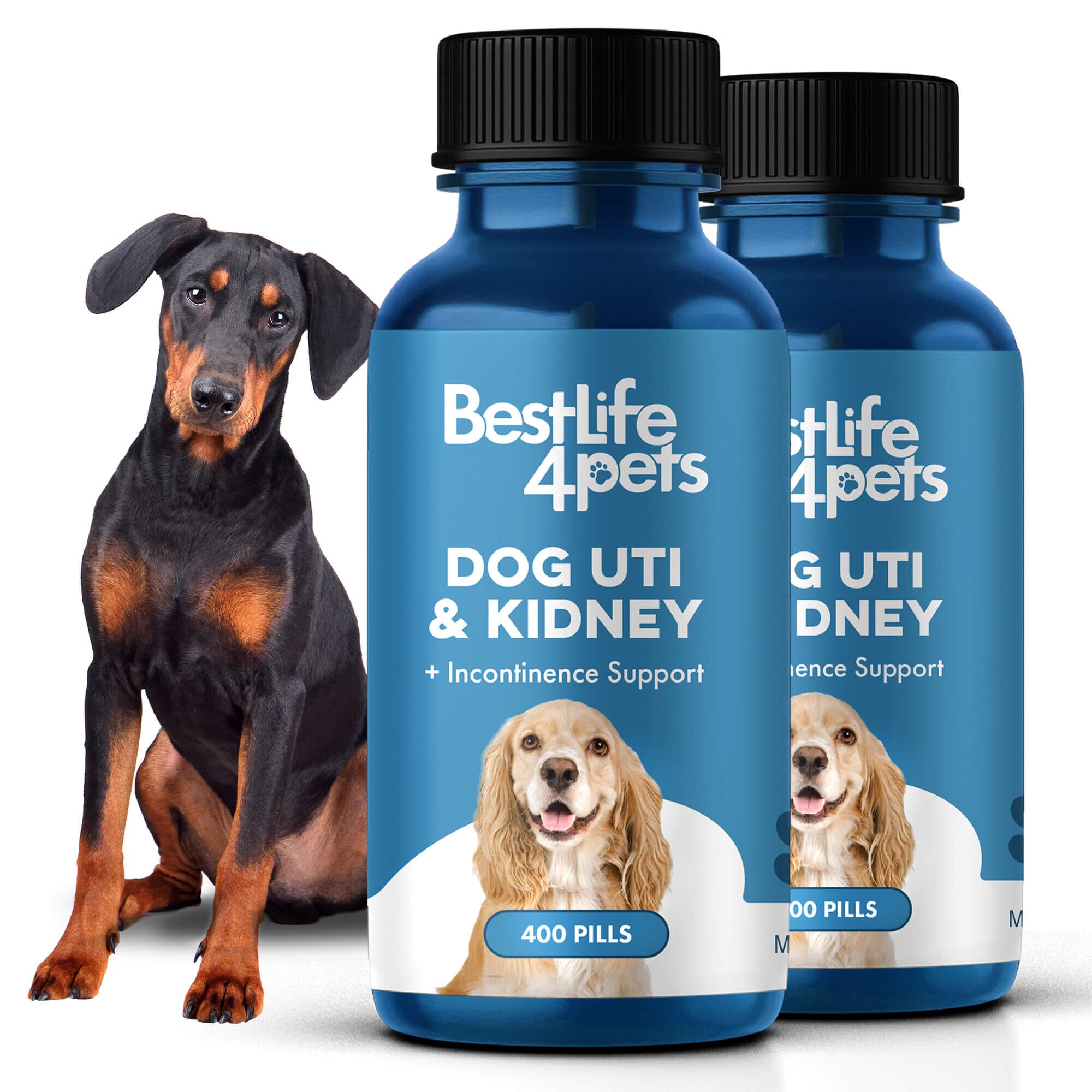 Dog UTI & Kidney Infection Treatment for Dogs BestLife4Pets 