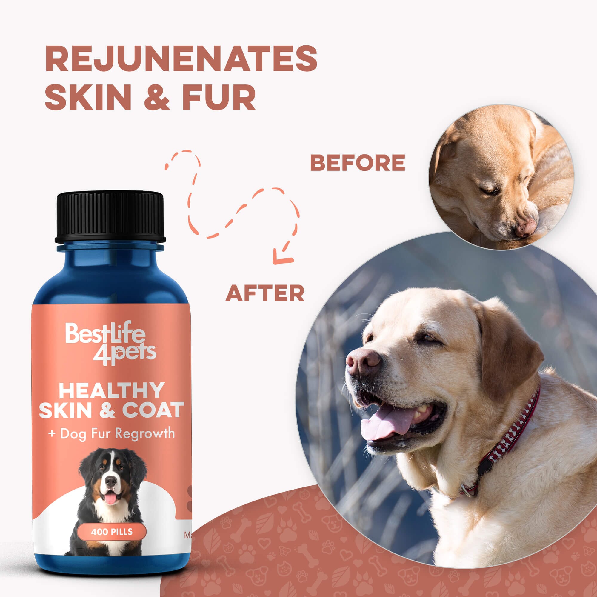 Healthy Skin & Coat for Dogs BestLife4Pets 