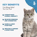 Cat Allergy Relief & Immune Support BestLife4Pets 