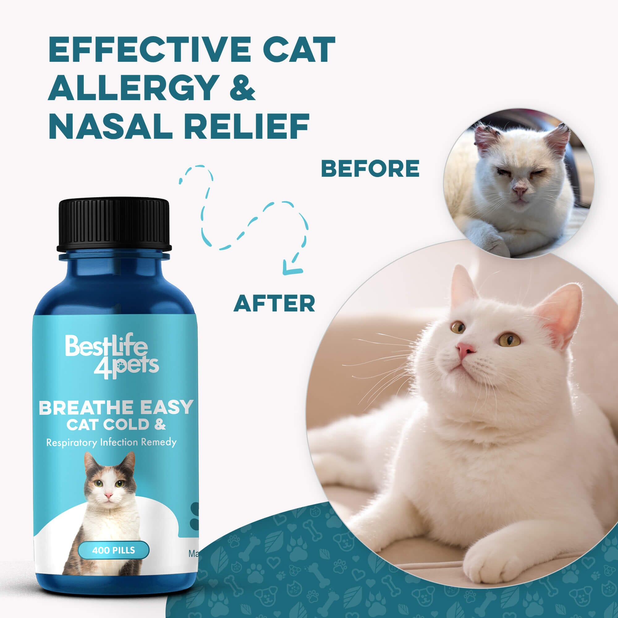 Breathe Easy for Cats - Respiratory Support for Asthma, Cat Cold and Sneezing BestLife4Pets 