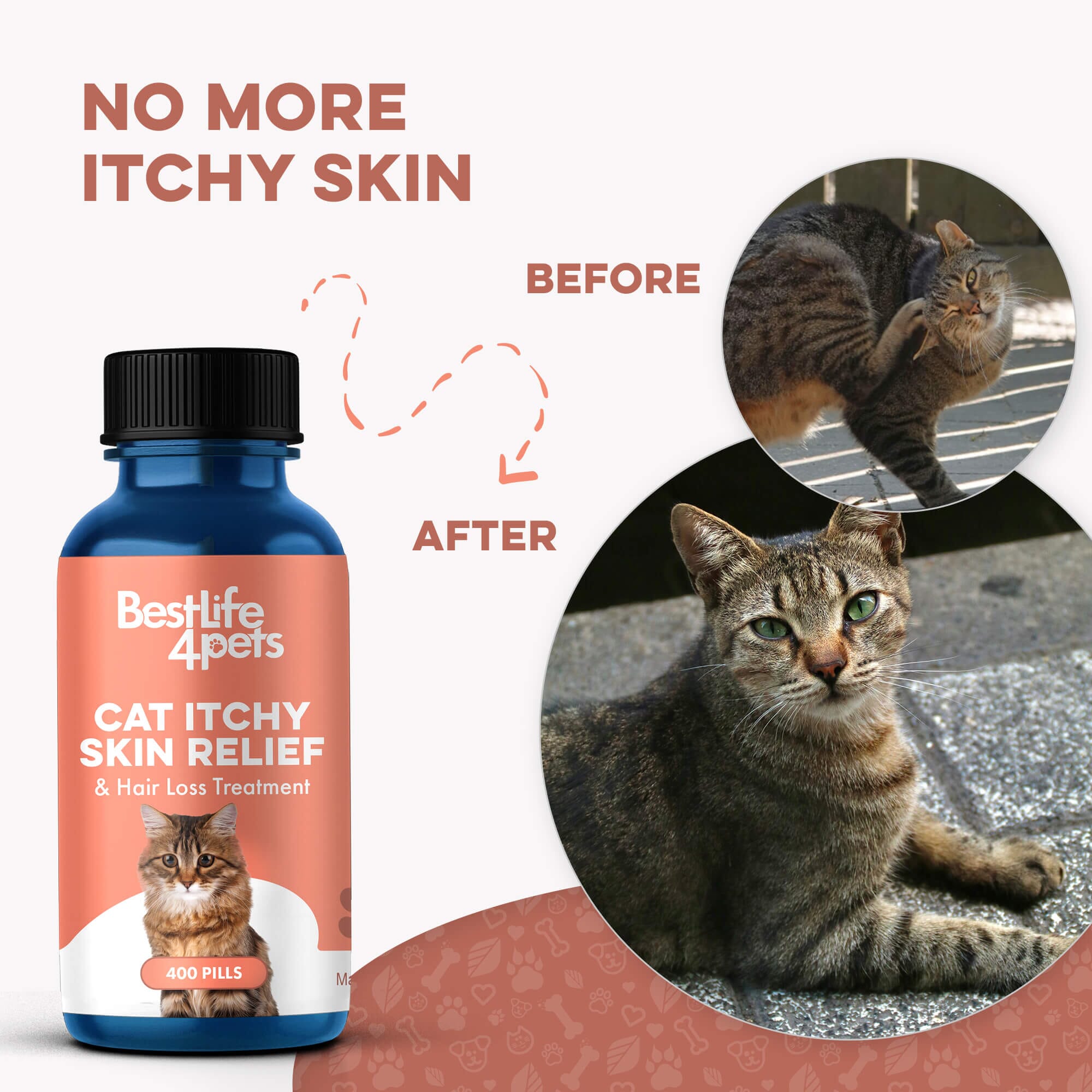 Cat Itchy Skin Healthy Coat Remedy