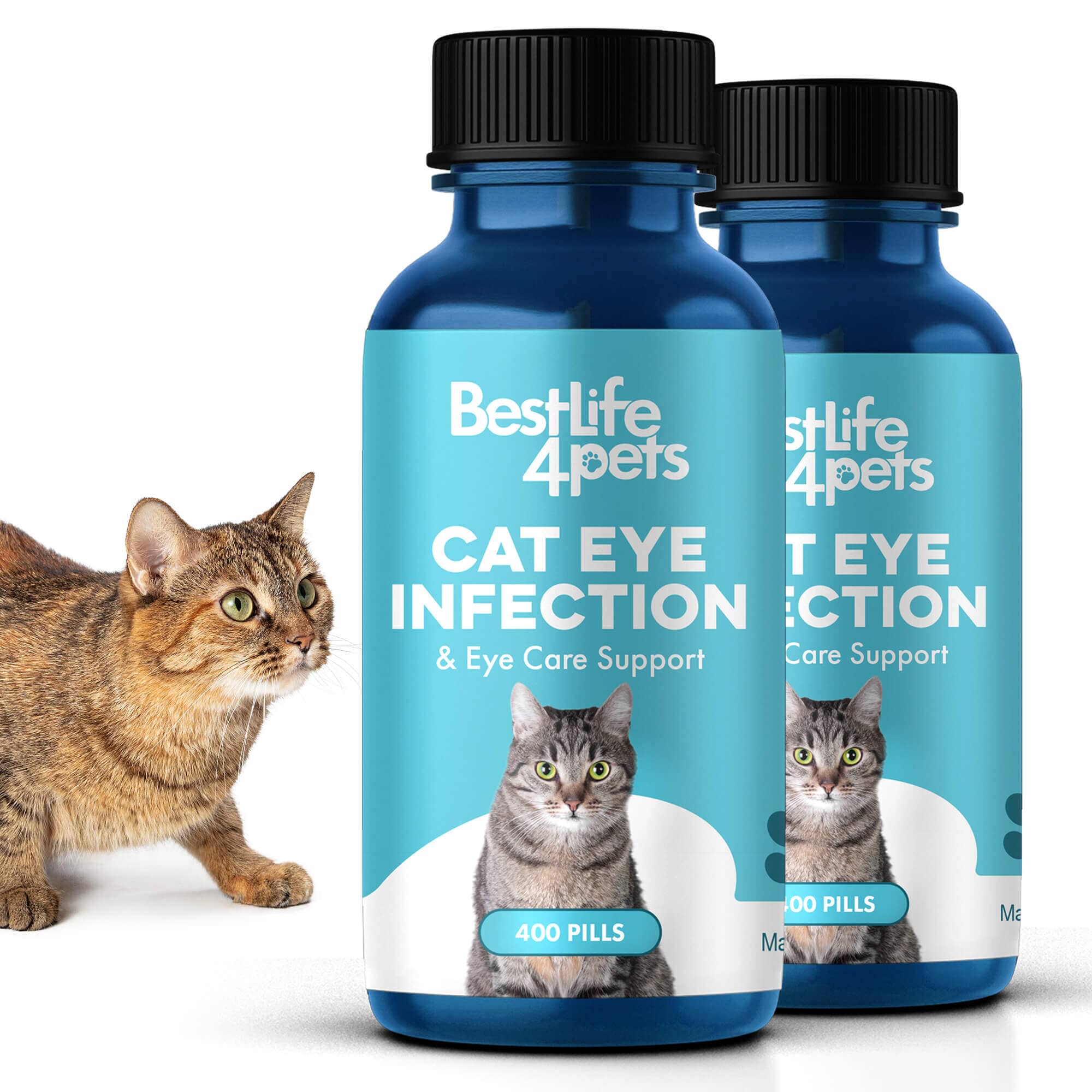 Cat Eye Infection, Eye Care & Vision Support BestLife4Pets 