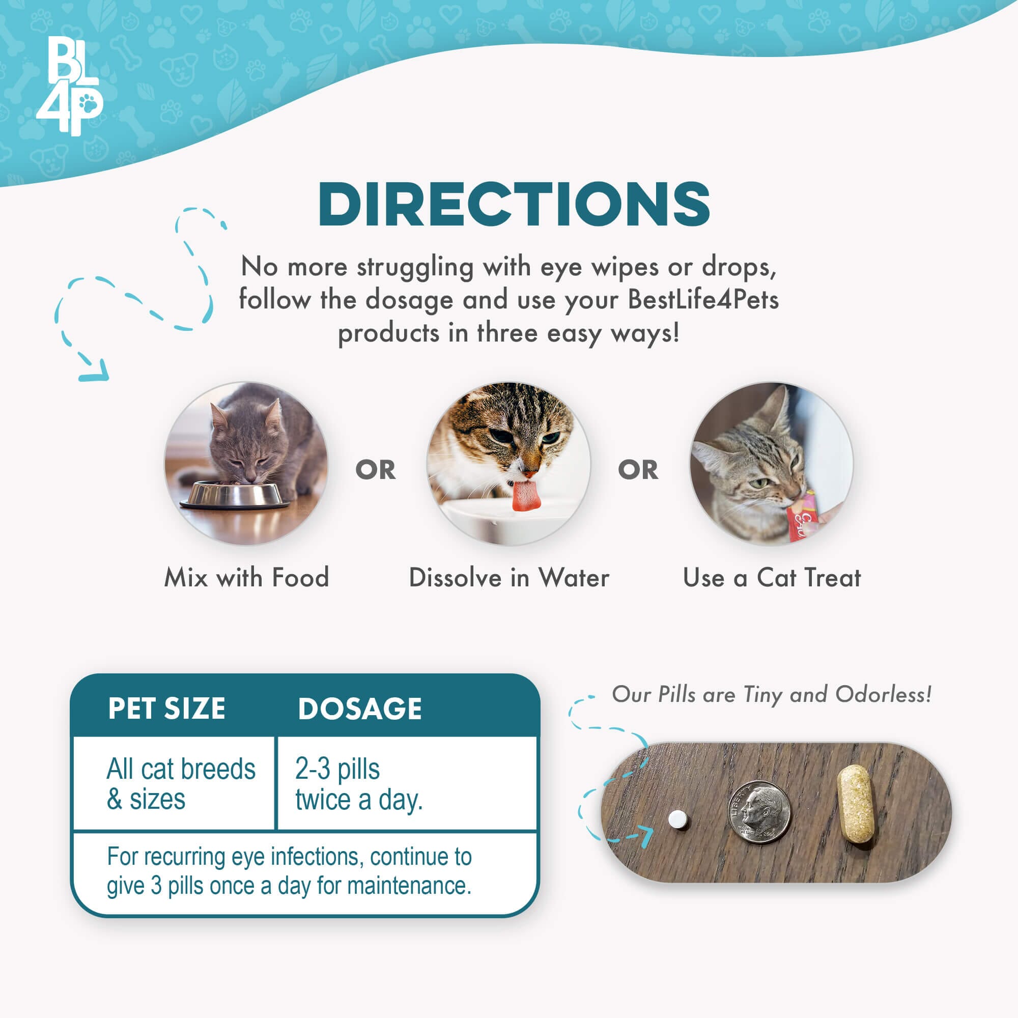 Cat Eye Infection, Eye Care & Vision Support BestLife4Pets 