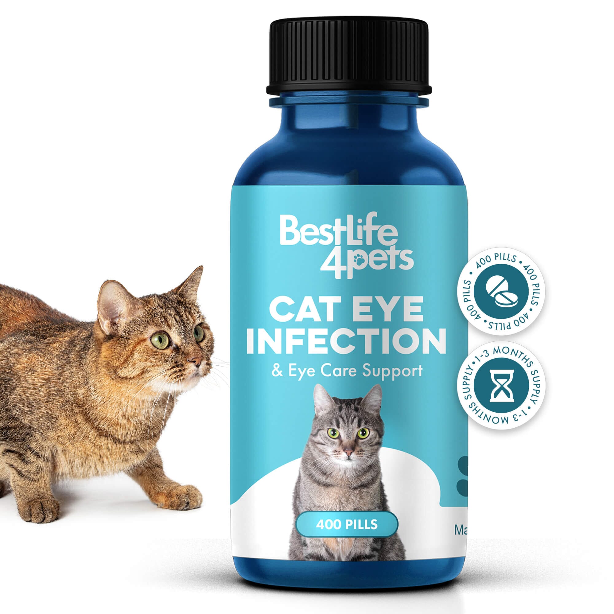 Cat Eye Infection, Eye Care & Vision Support BestLife4Pets 