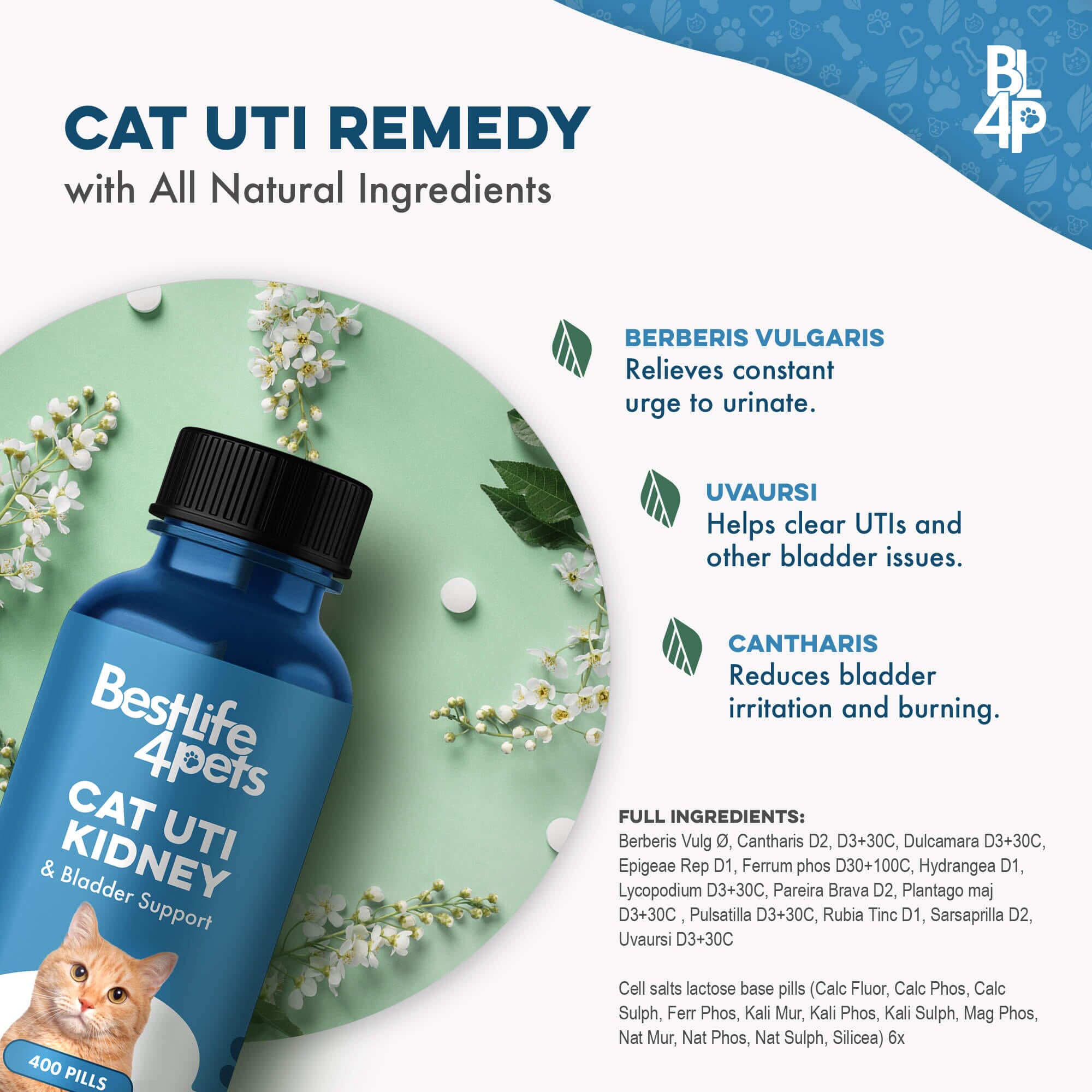 Natural Cat UTI & Kidney Remedy - Reduces Infections and Supports Optimal Bladder Function BestLife4Pets 