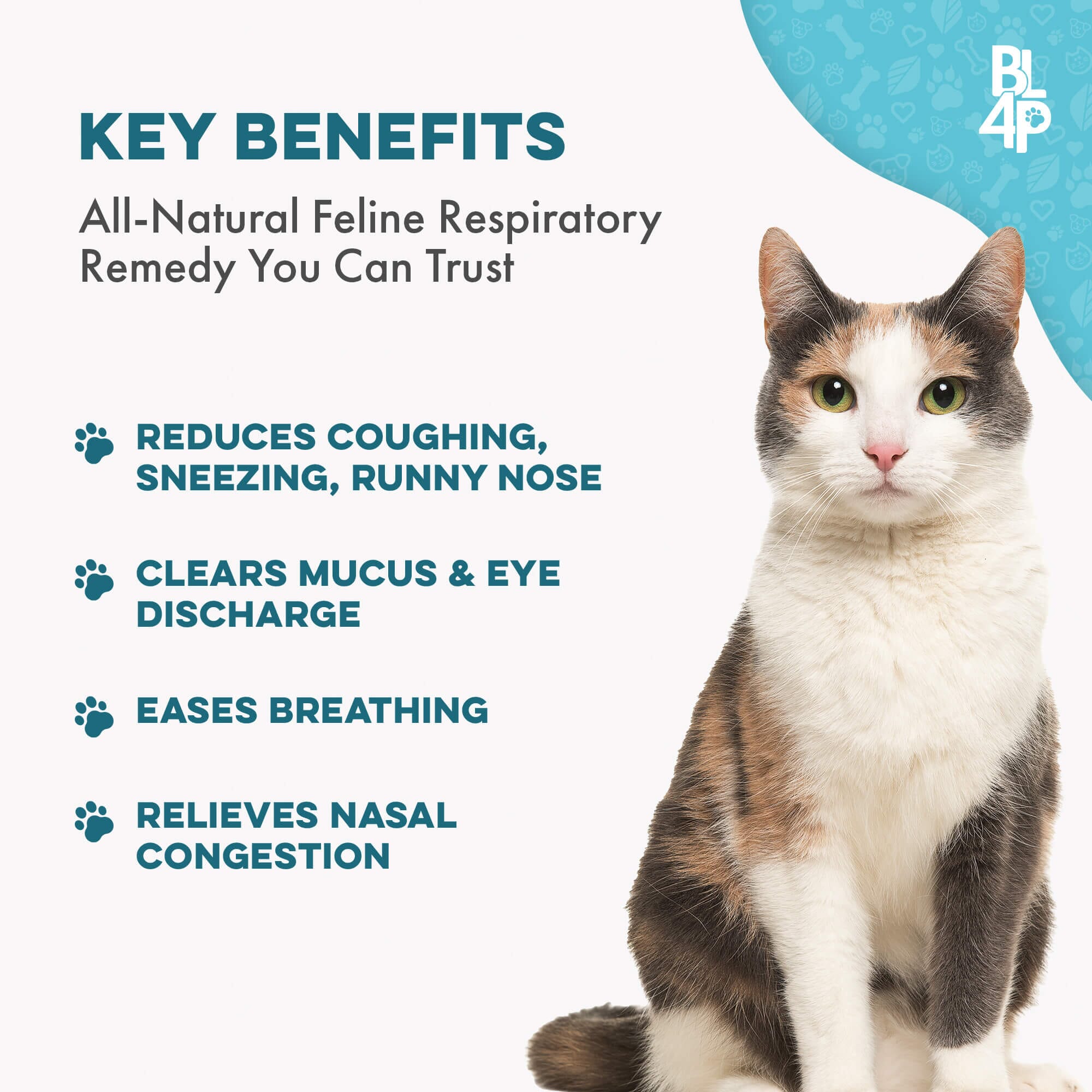 Breathe Easy for Cats - Respiratory Support for Asthma, Cat Cold and Sneezing BestLife4Pets 