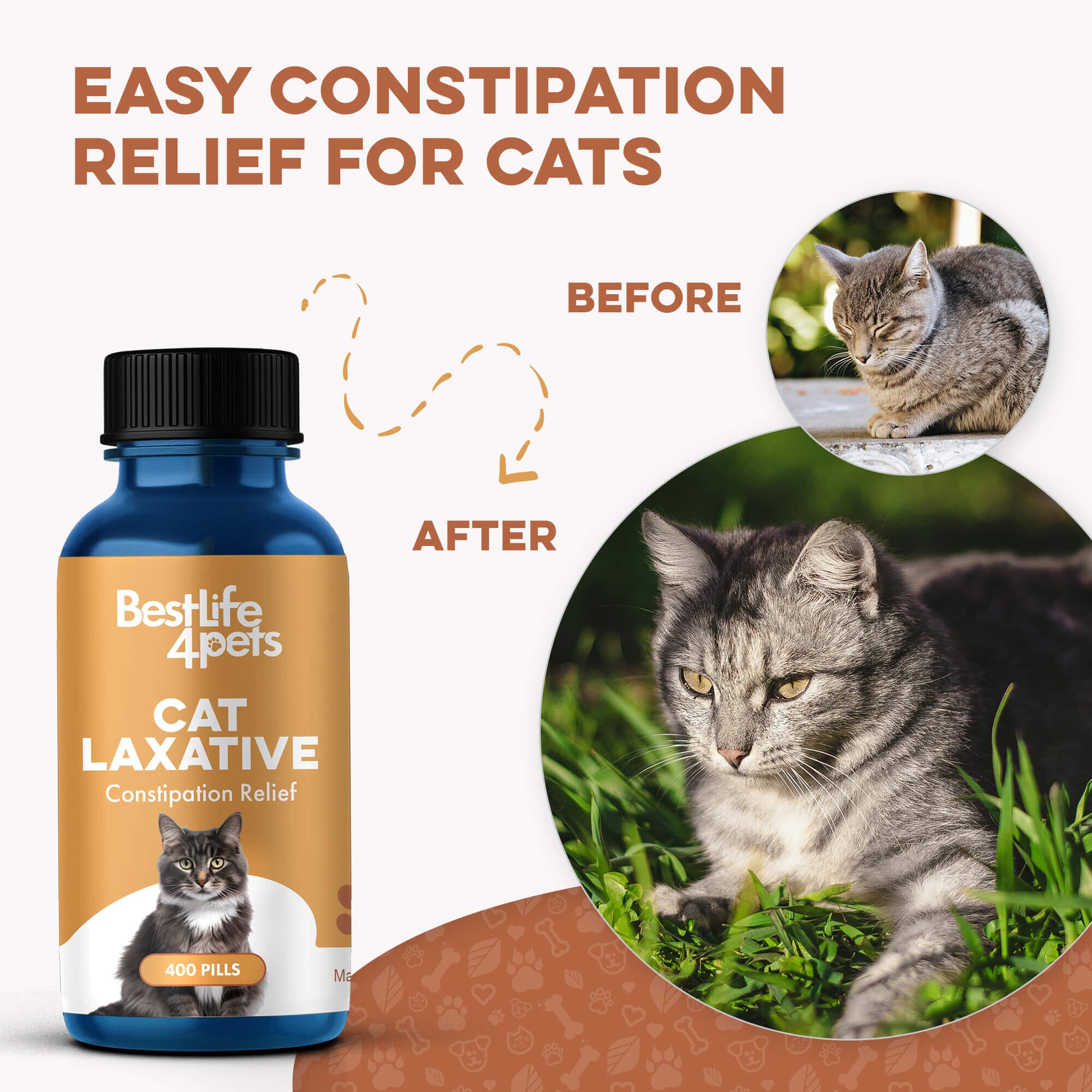 Natural Cat Laxative & Constipation Treatment BestLife4Pets 