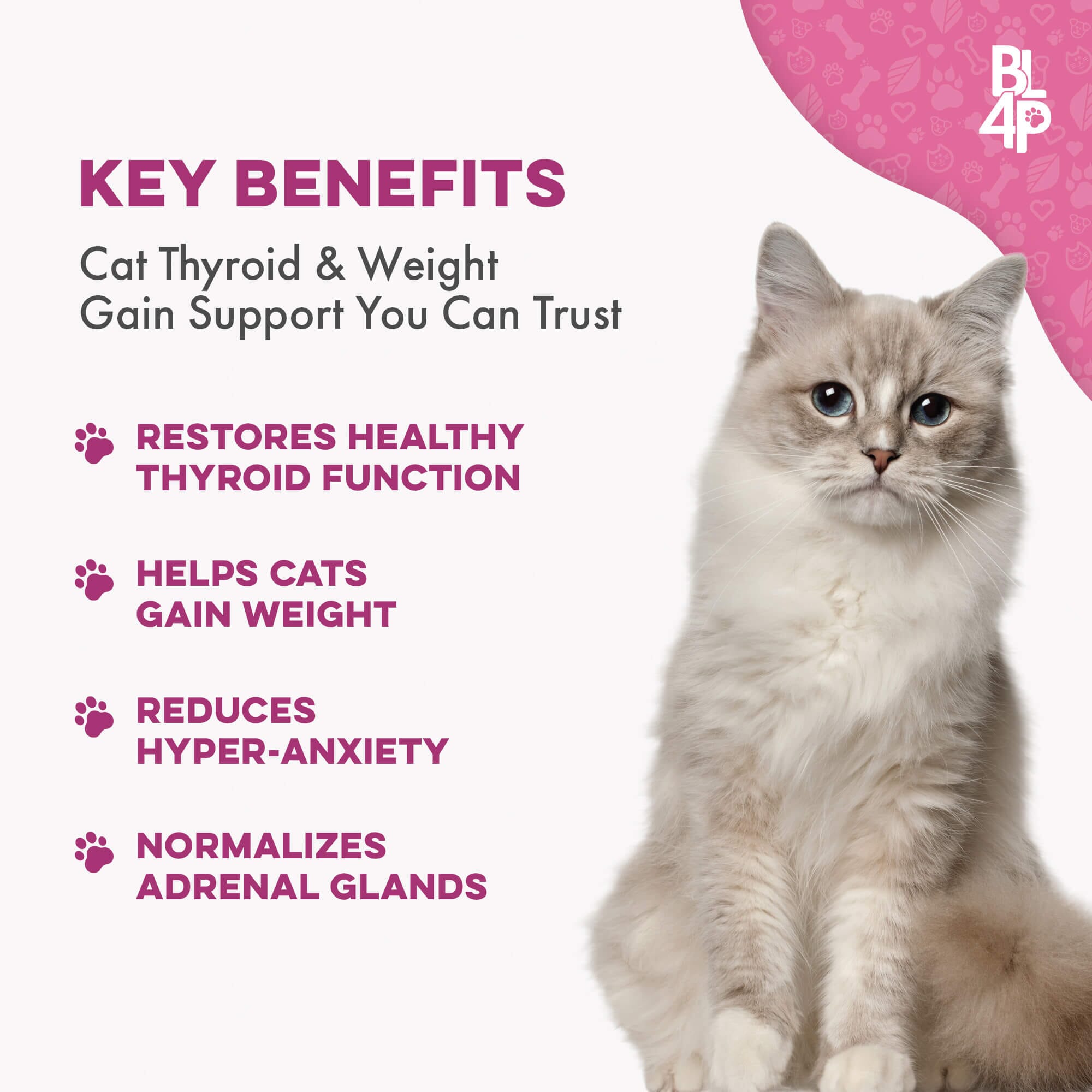 Hyperthyroidism Supplement for Cats - Treats Cat Hyperthyroid, Patchy Hair Loss, and Helps Cat Weight Gain BestLife4Pets 