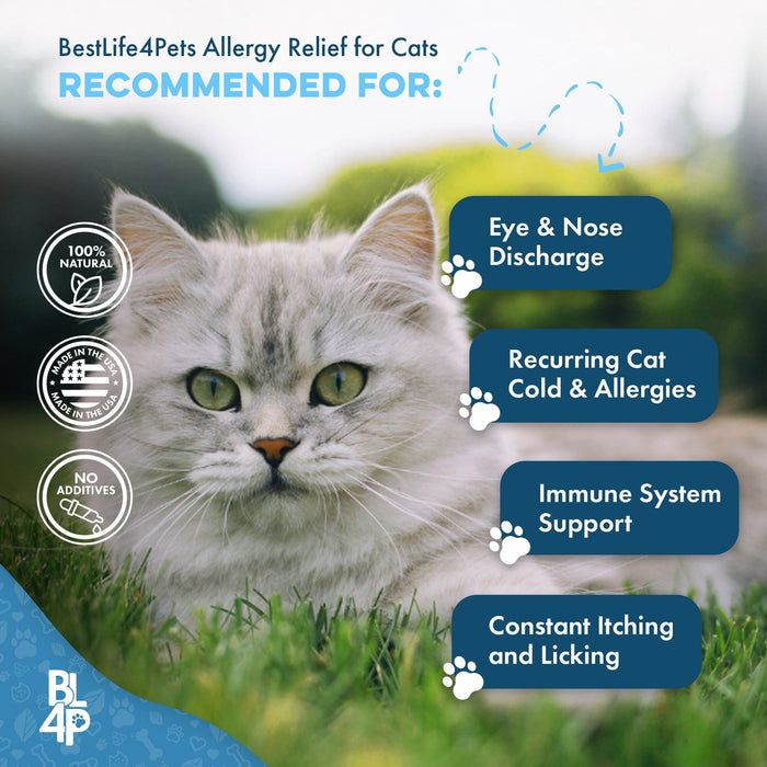 Cat Allergy Relief & Immune Support BestLife4Pets 