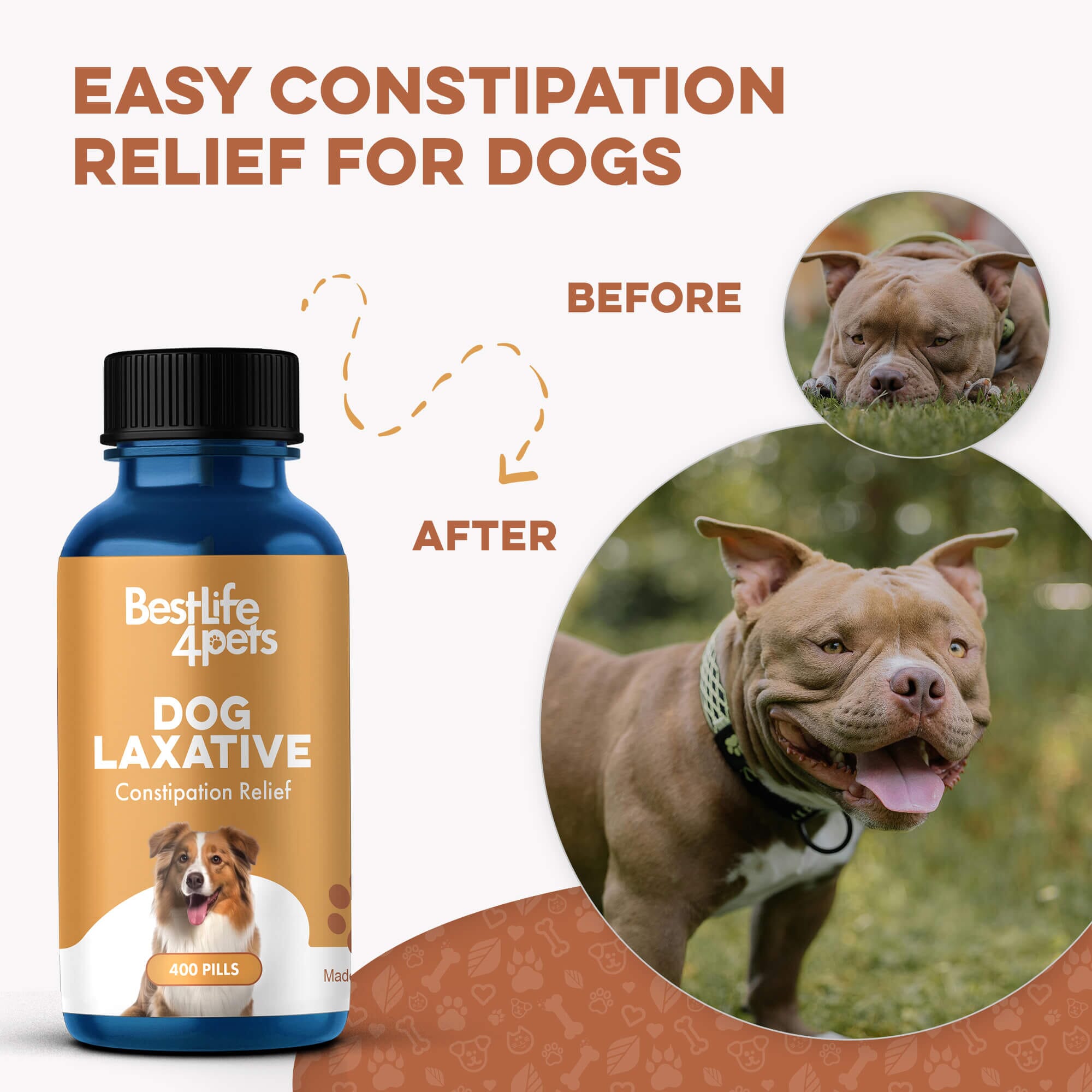 Natural Dog Laxative & Constipation Treatment BestLife4Pets 