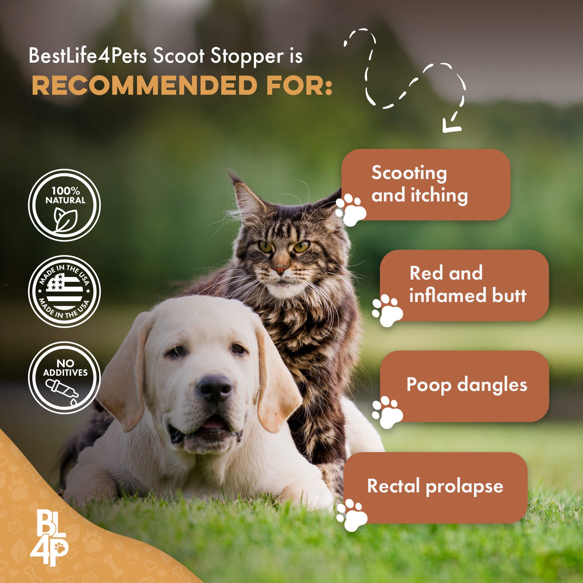 Scoot Stopper & Anal Gland Support for Dogs and Cats BestLife4Pets 