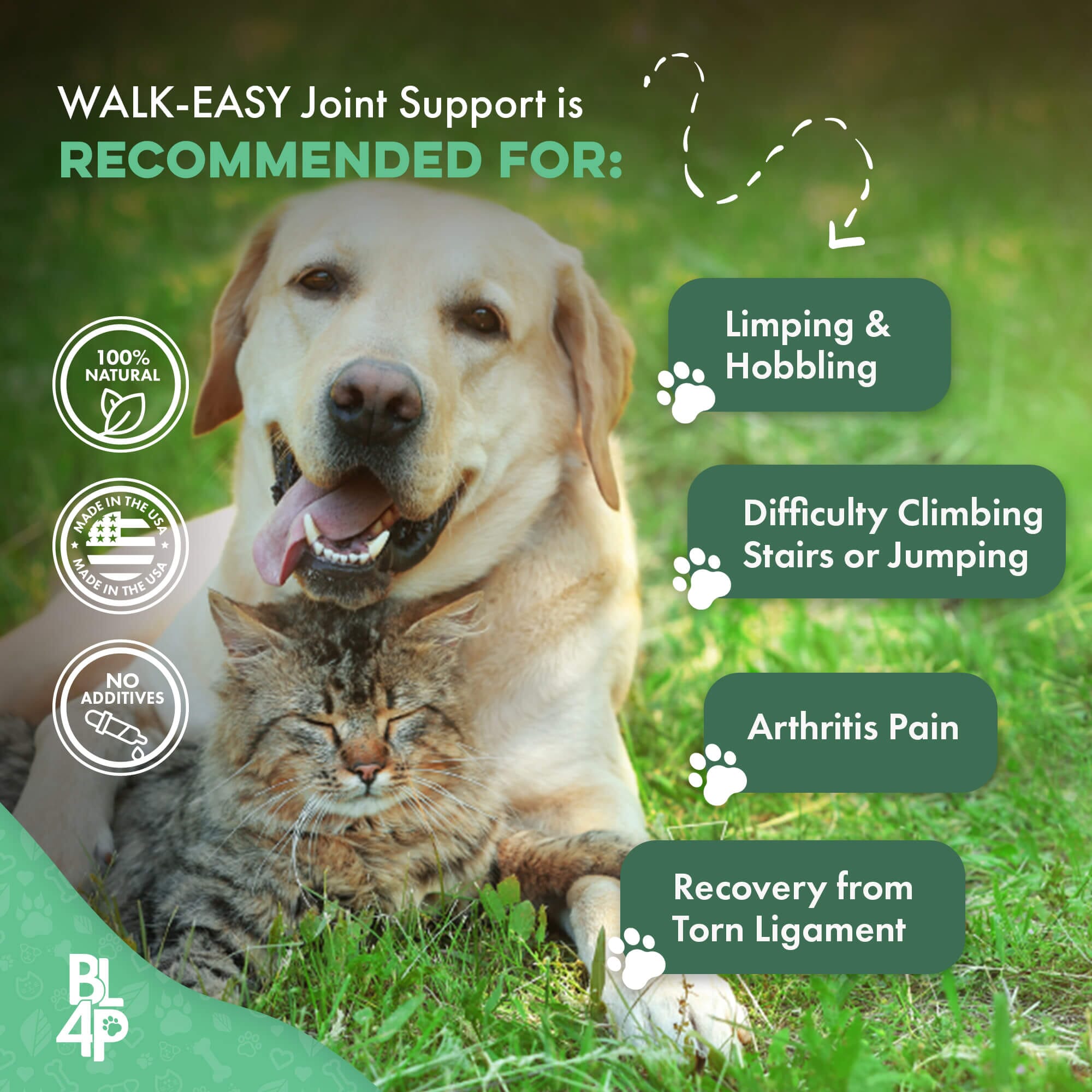 WALK-EASY® Joint and Hip Pain Relief for Dogs and Cats - Helps Arthritis, Torn Ligament and Other Joint Conditions BestLife4Pets 