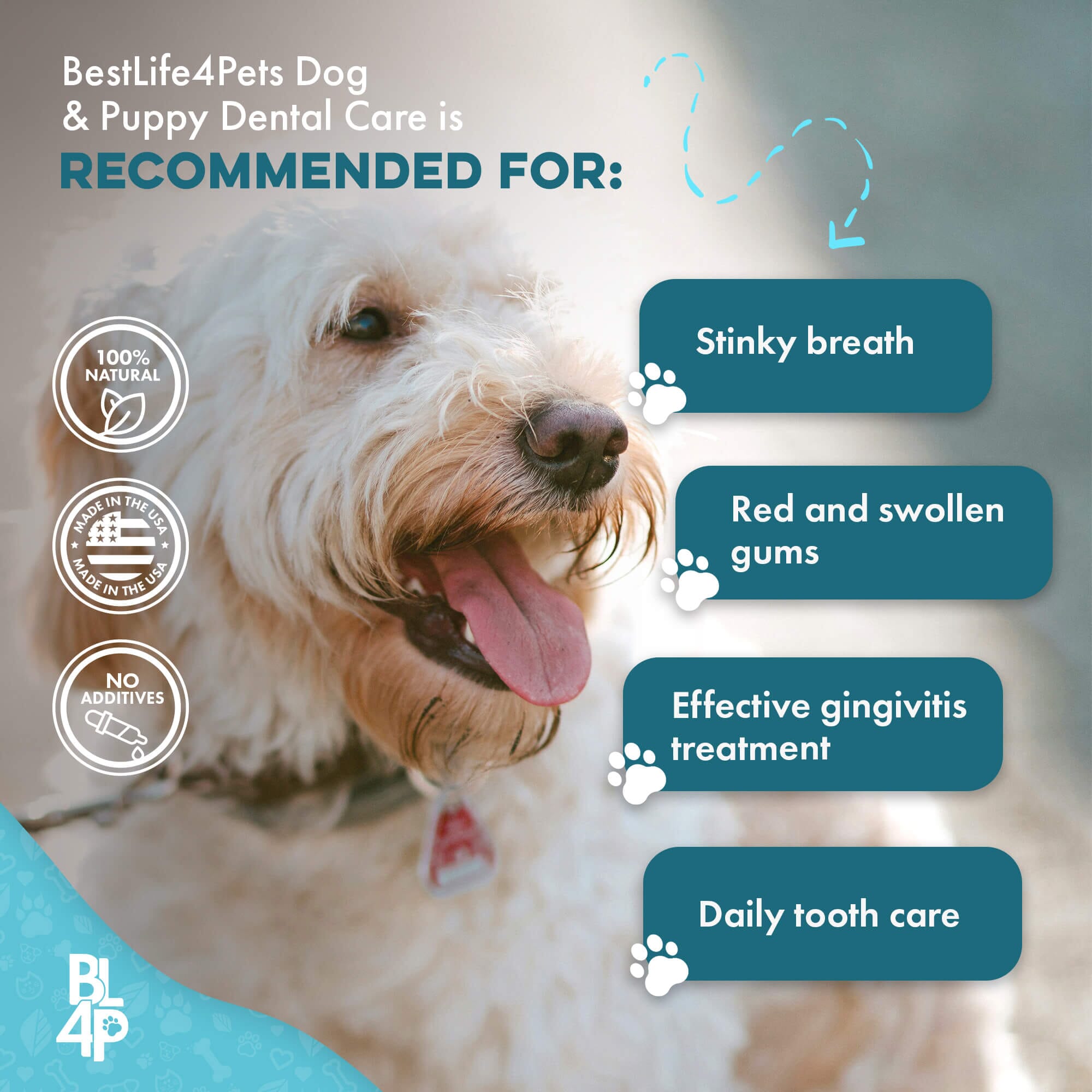 Dog Bad Breath & Dental Care Solution - Natural Remedy for Canine Oral Health BestLife4Pets 