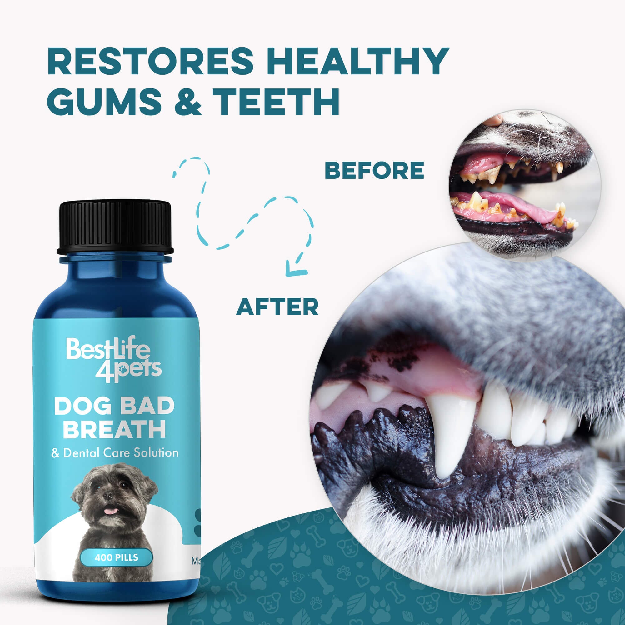 Dog Bad Breath & Dental Care Solution - Natural Remedy for Canine Oral Health BestLife4Pets 