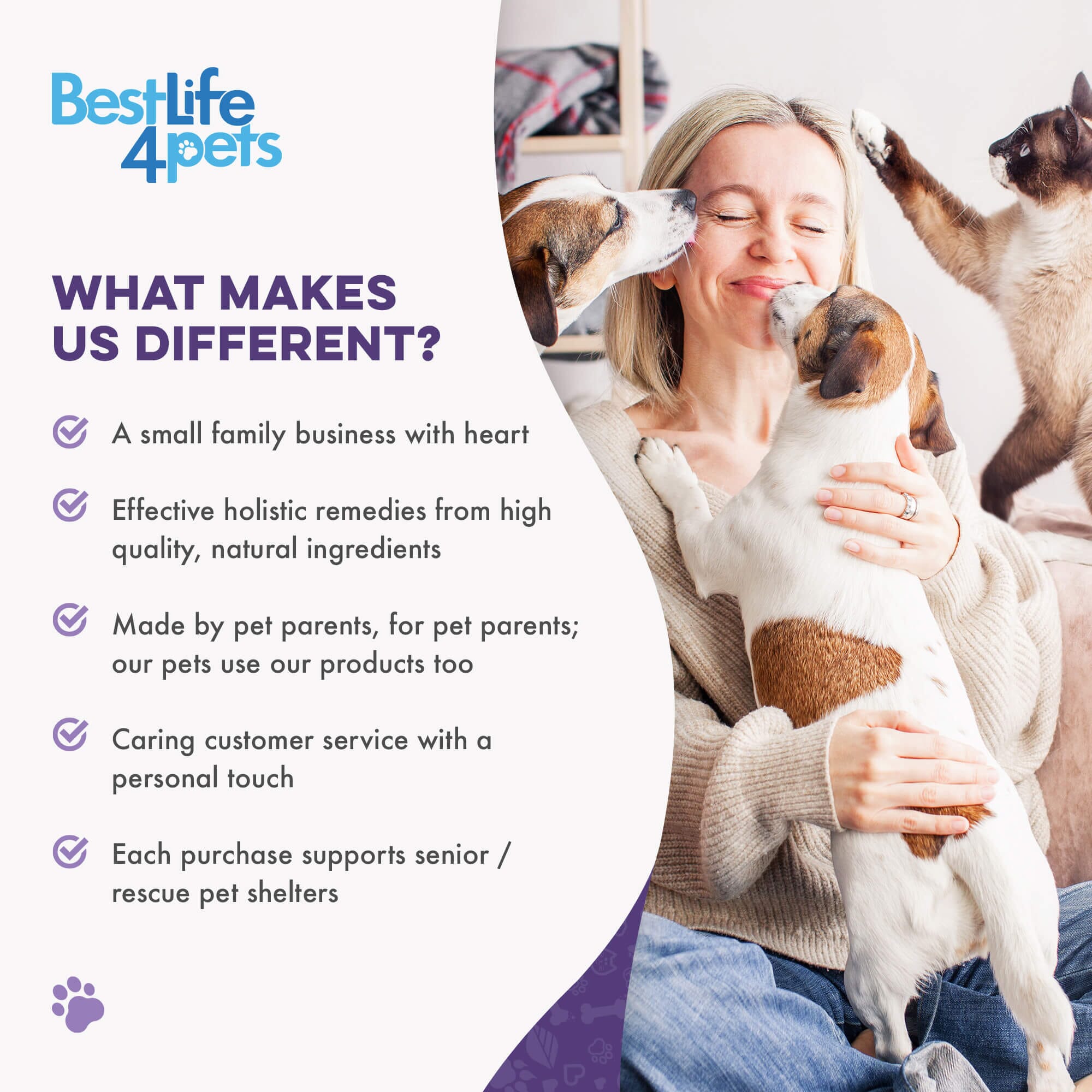 Peaceful Paws Dog Aggression Management and Noise Phobia Remedy BestLife4Pets 