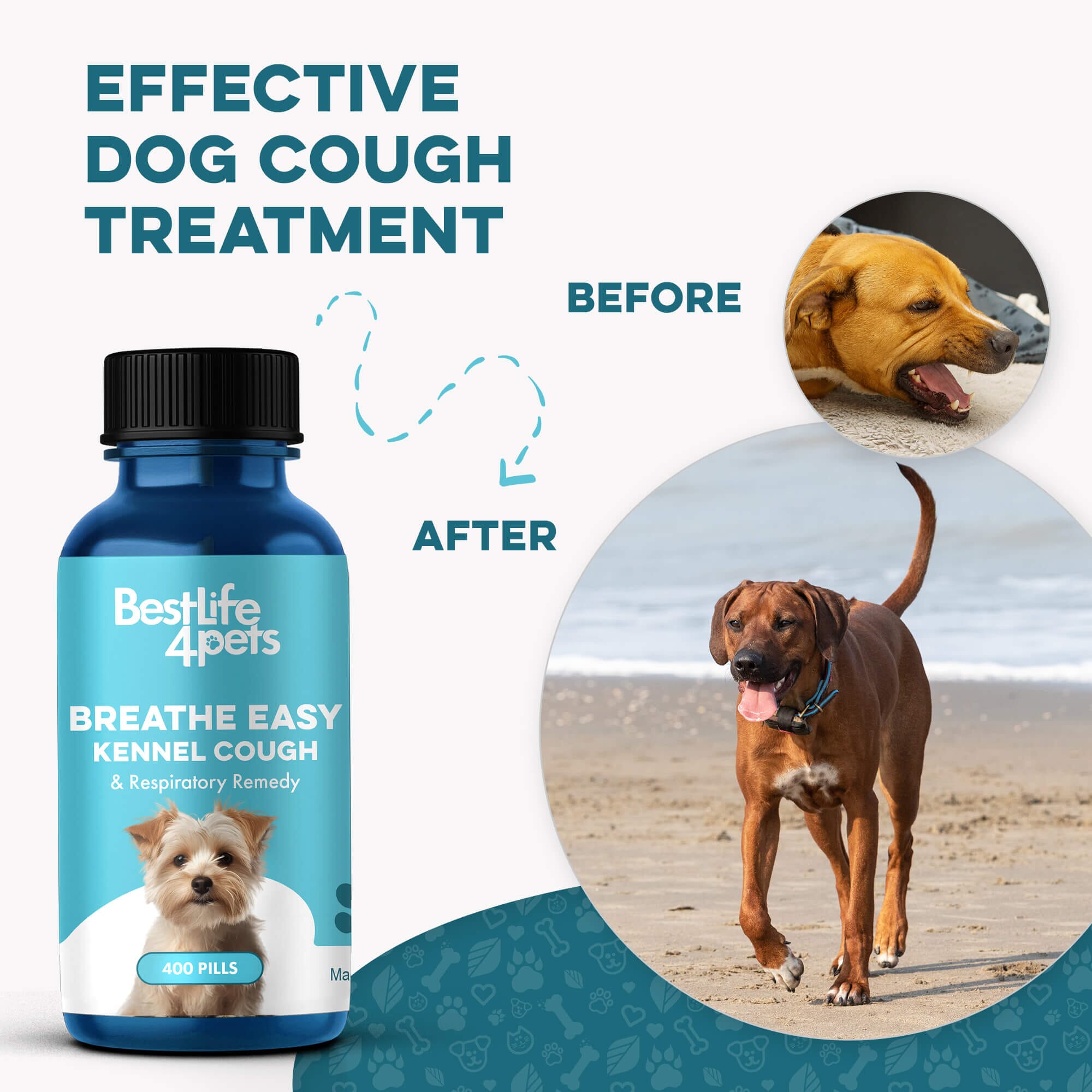 Breathe Easy for Dogs - Kennel Cough & Respiratory Support Remedy BestLife4Pets 