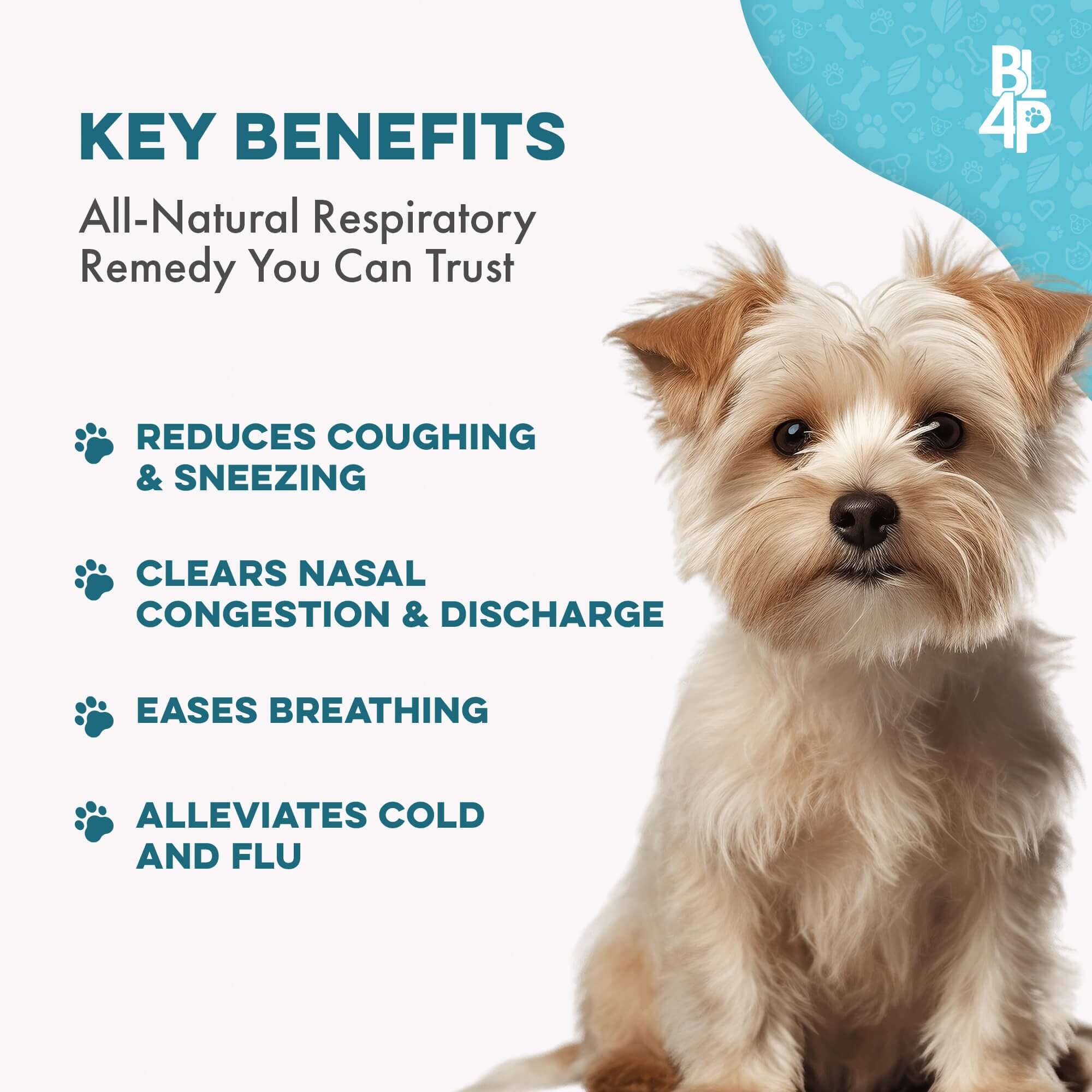 Breathe Easy for Dogs - Kennel Cough & Respiratory Support Remedy BestLife4Pets 