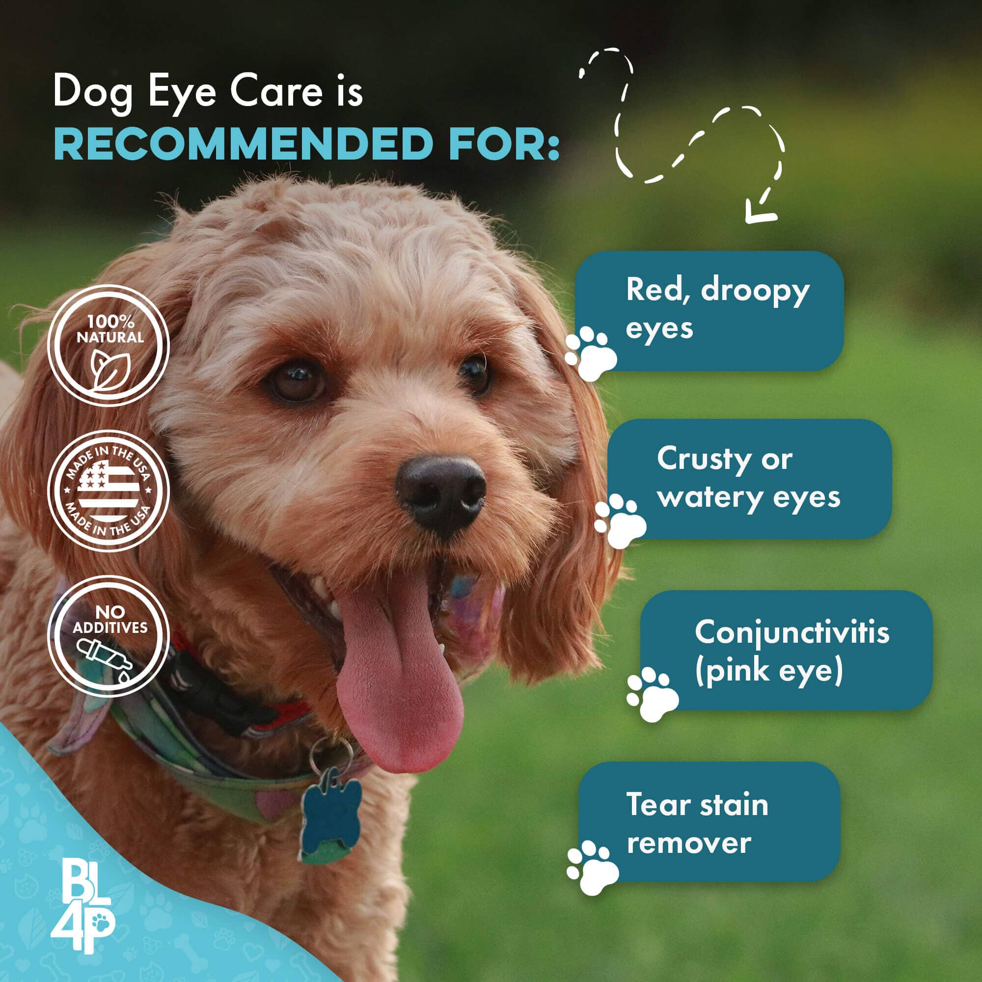 Natural Dog Eye Infection Treatment - Helps Conjunctivitis, Watery Eyes, Red Eye, and General Eye Care BestLife4Pets 