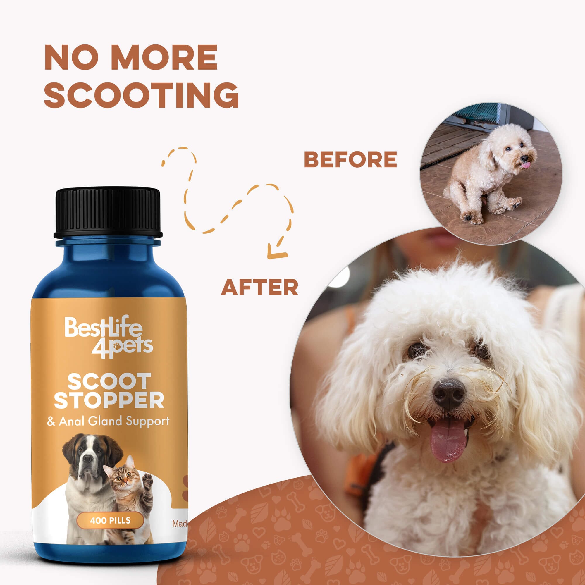 Scoot Stopper & Anal Gland Support for Dogs and Cats BestLife4Pets 