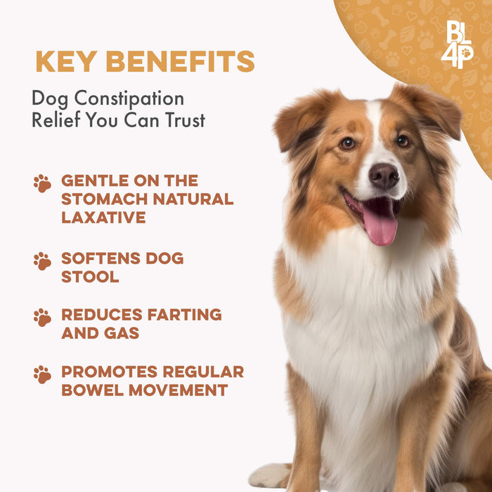 Natural Dog Laxative Constipation Treatment BestLife4Pets