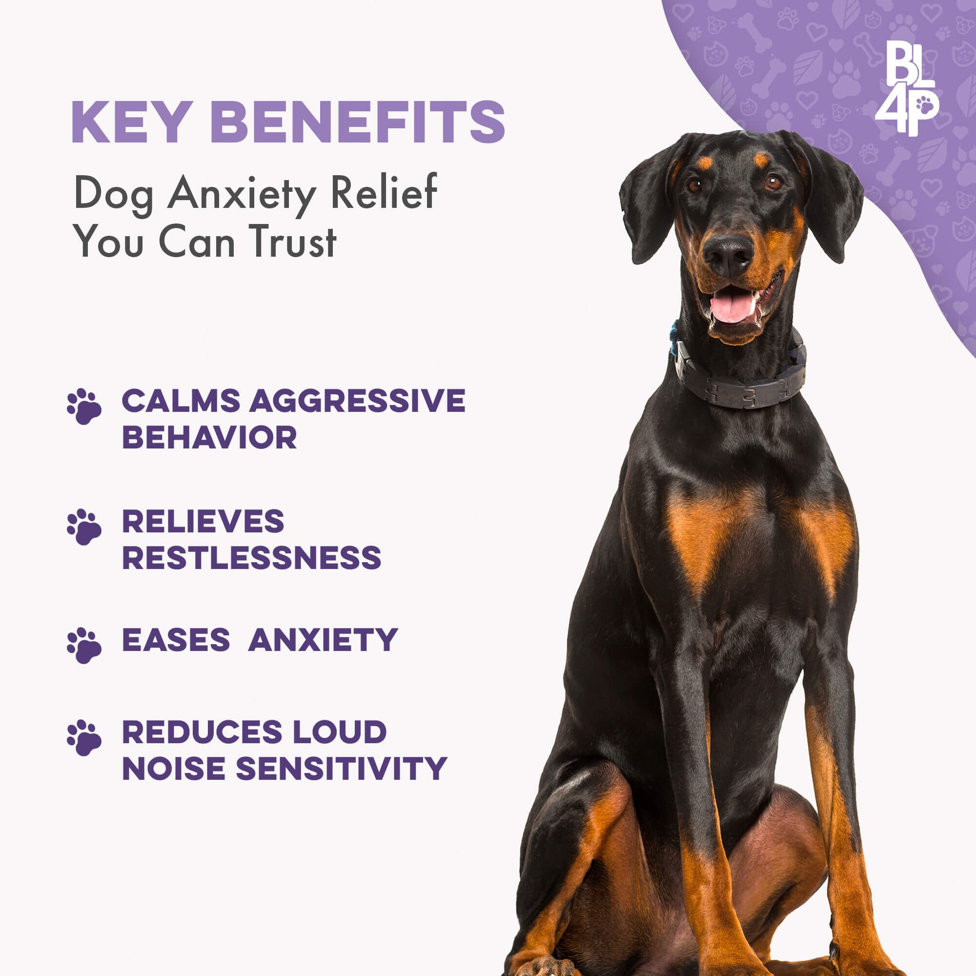 Peaceful Paws Dog Aggression Management and Noise Phobia Remedy BestLife4Pets 