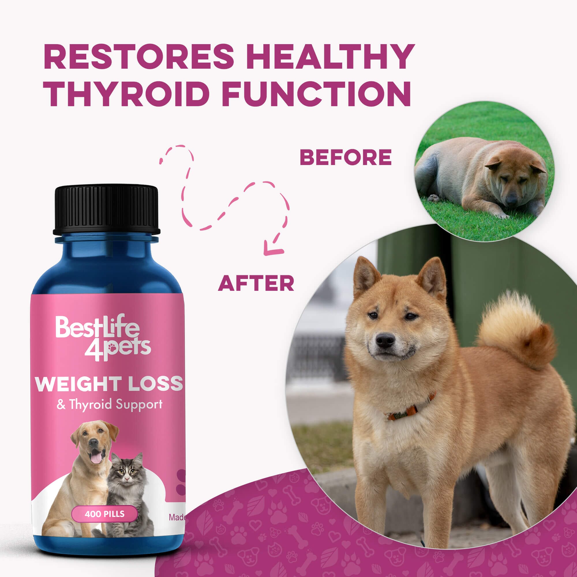 Natural Weight Loss & Thyroid Support Supplement for Dogs & Cats BestLife4Pets 