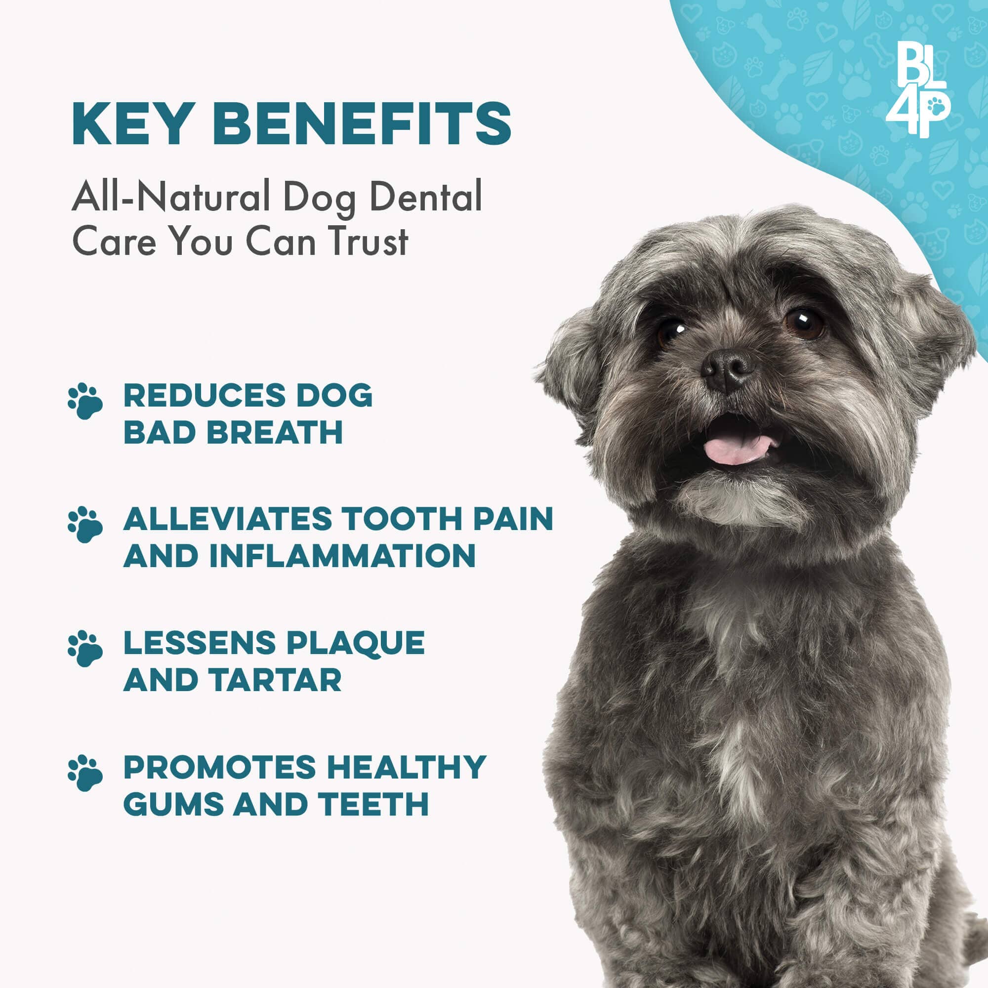 Dog Bad Breath & Dental Care Solution BestLife4Pets 