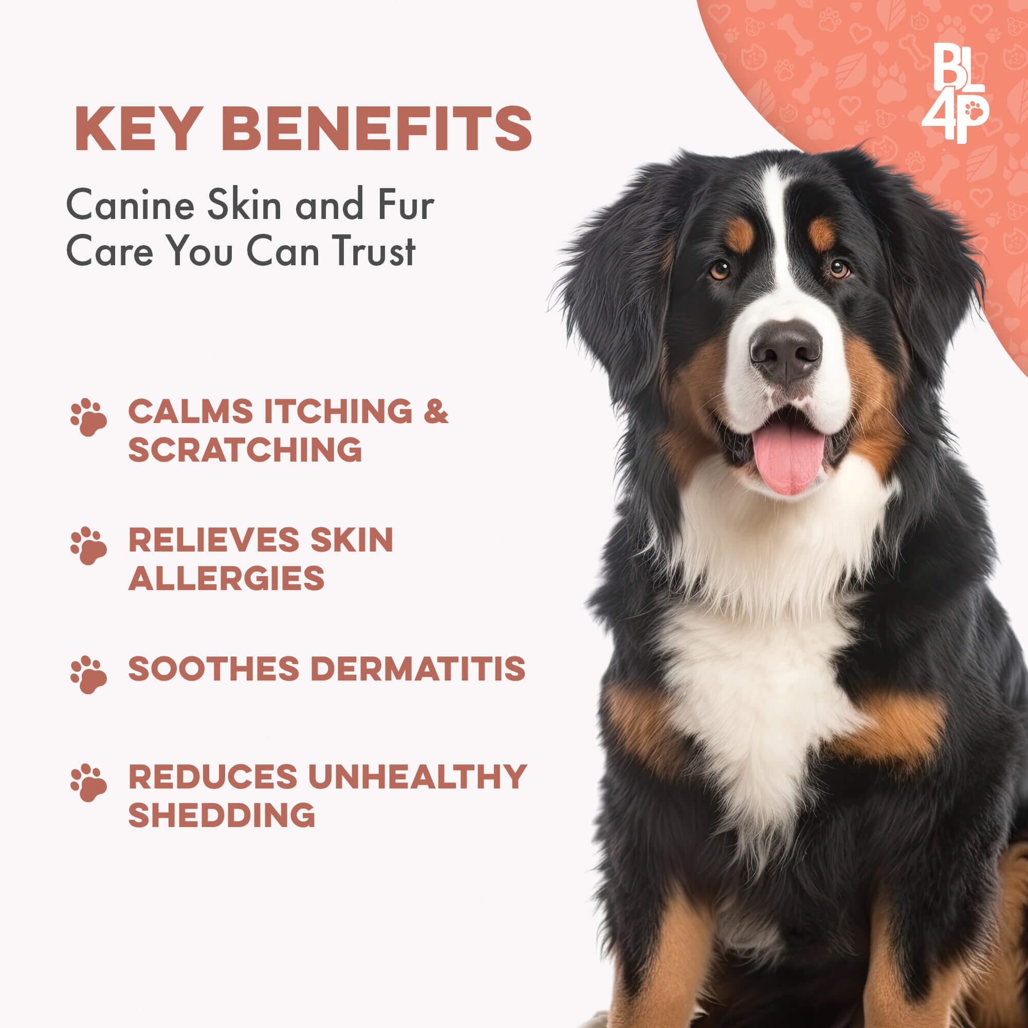 Healthy Skin & Coat for Dogs BestLife4Pets 