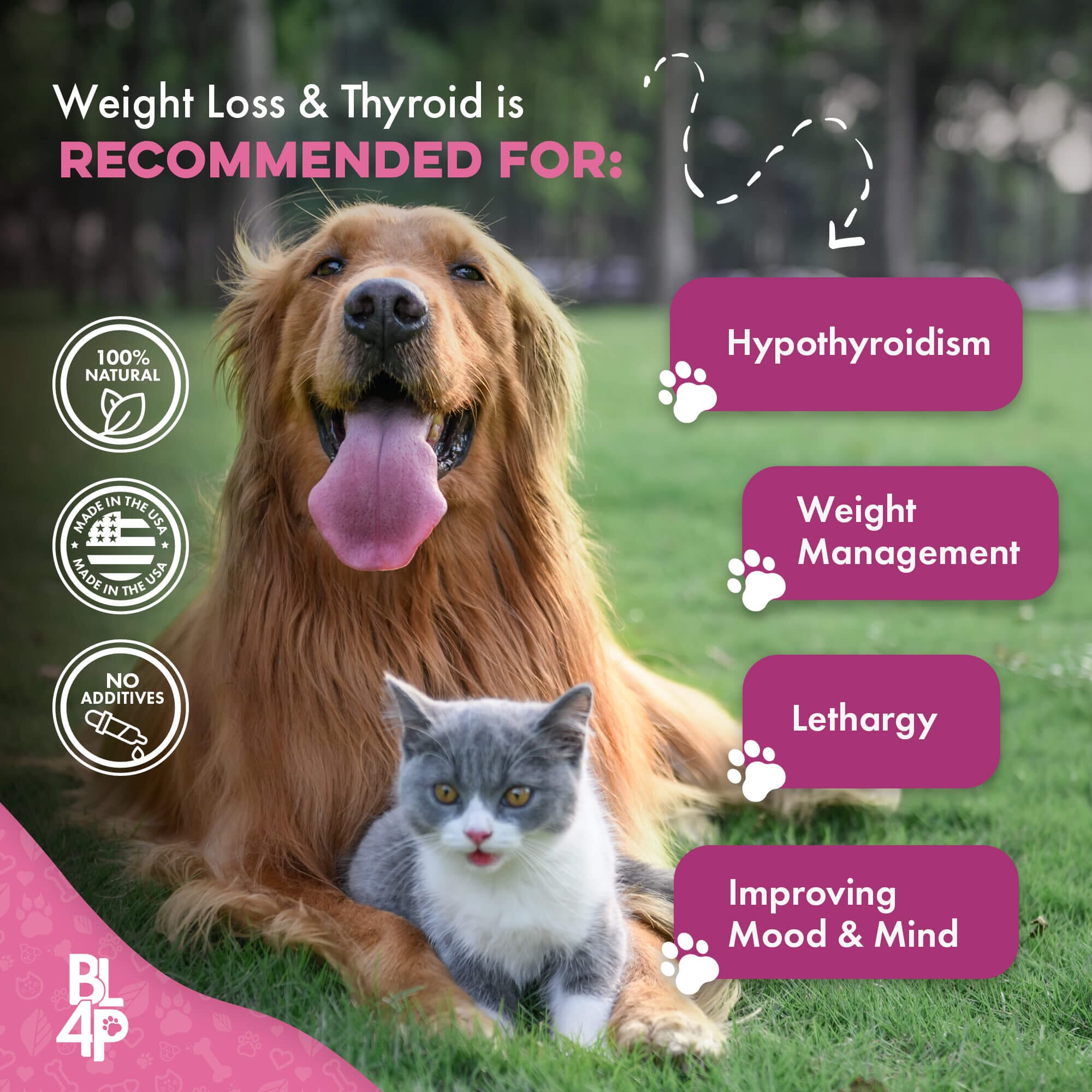 Natural Weight Loss & Thyroid Support Supplement for Dogs & Cats BestLife4Pets 