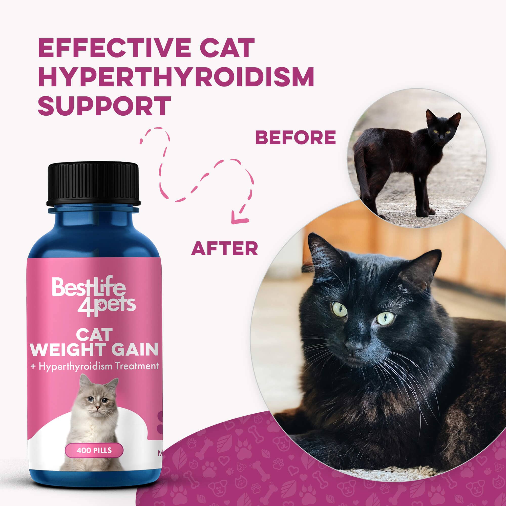 Hyperthyroidism Supplement for Cats - Treats Cat Hyperthyroid, Patchy Hair Loss, and Helps Cat Weight Gain BestLife4Pets 