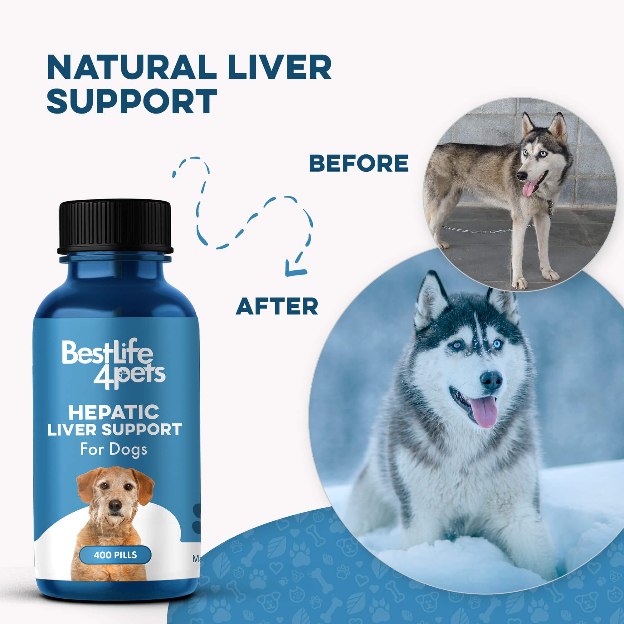 Natural Hepatic Dog Liver Support Tablets BestLife4Pets 