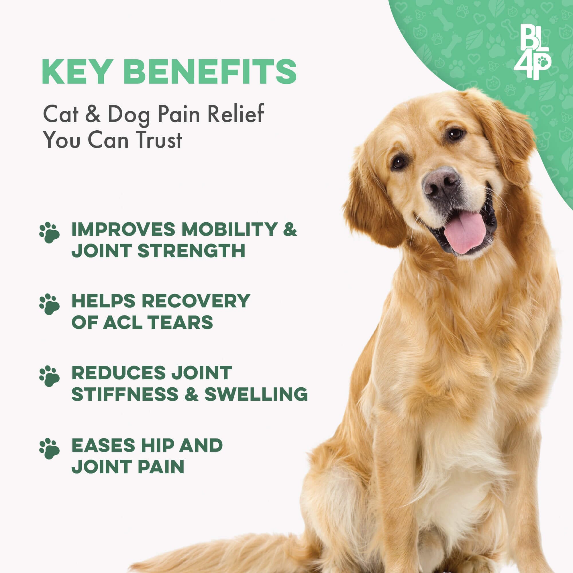 WALK-EASY® Joint and Hip Pain Relief for Dogs and Cats - Helps Arthritis, Torn Ligament and Other Joint Conditions BestLife4Pets 