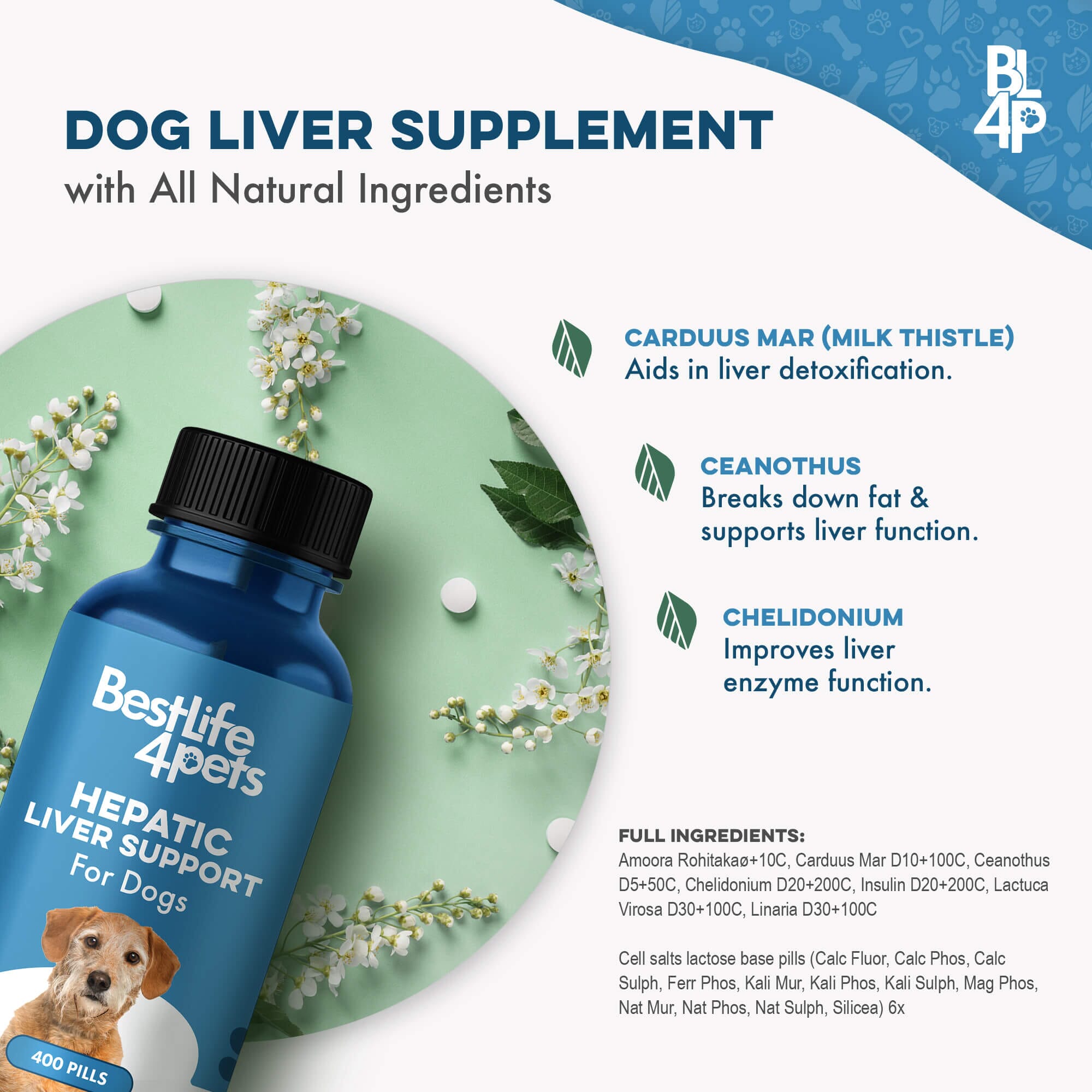 Natural Hepatic Dog Liver Support Tablets BestLife4Pets 