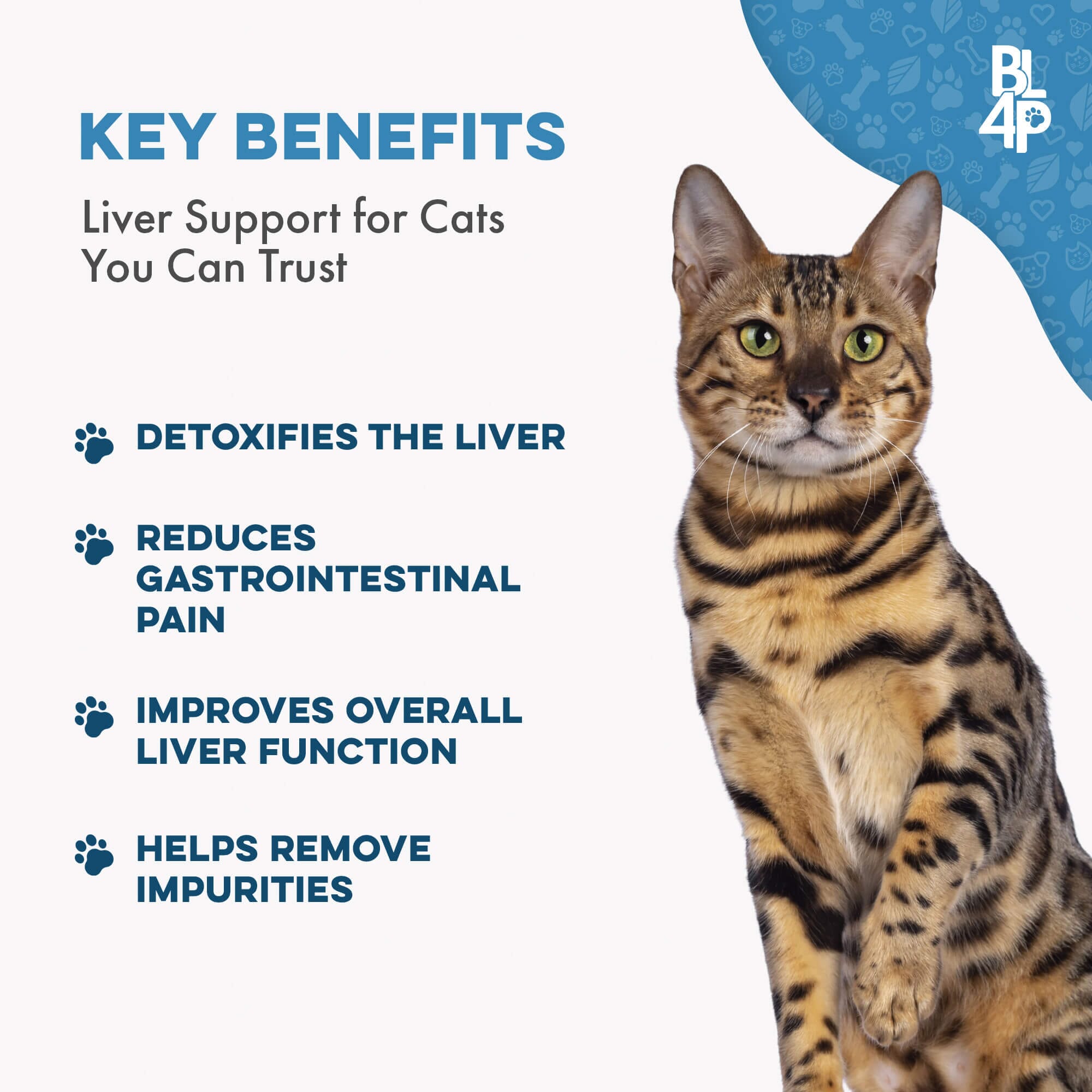 Natural Hepatic Liver Support for Cats BestLife4Pets 