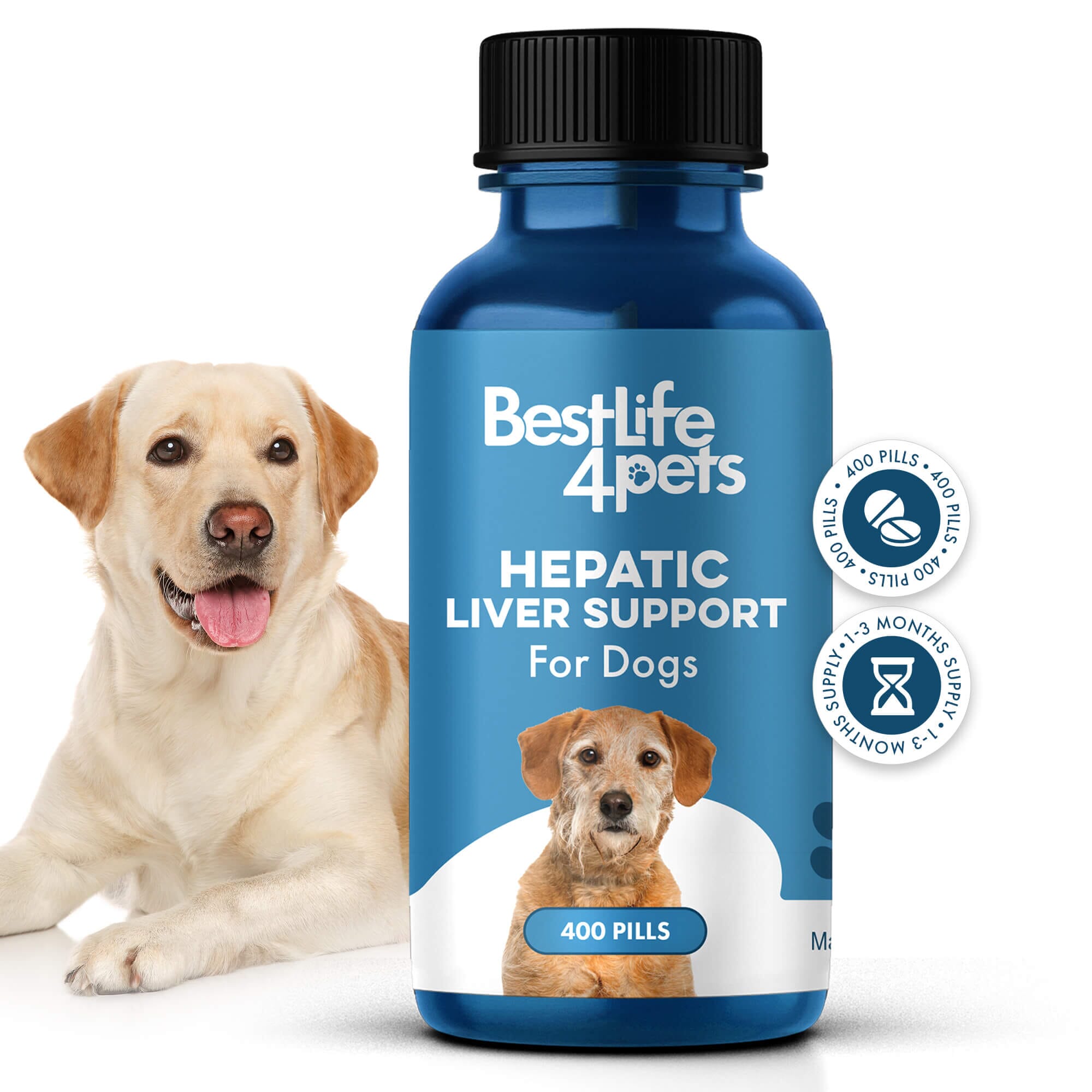 Natural Hepatic Dog Liver Support Tablets BestLife4Pets 