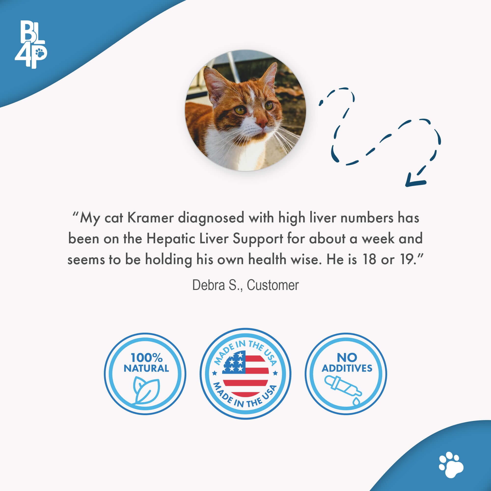 Natural Hepatic Liver Support for Cats BestLife4Pets 