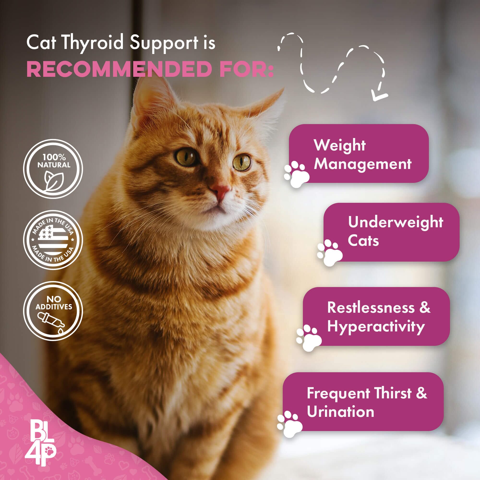 Hyperthyroidism Supplement for Cats - Treats Cat Hyperthyroid, Patchy Hair Loss, and Helps Cat Weight Gain BestLife4Pets 